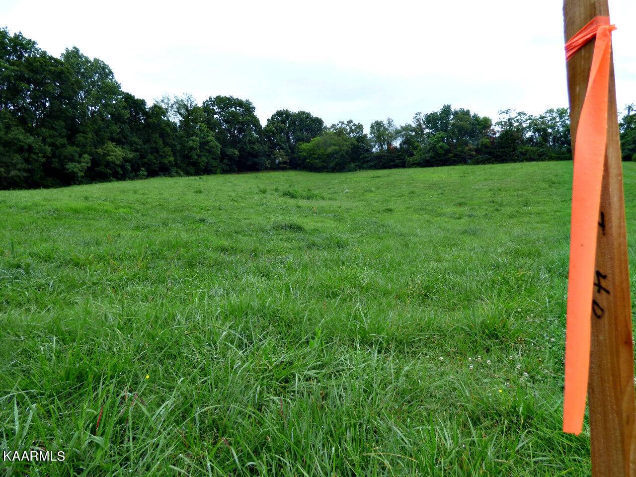 Dandridge, TN 37725,Lot 40 Stonehenge Way