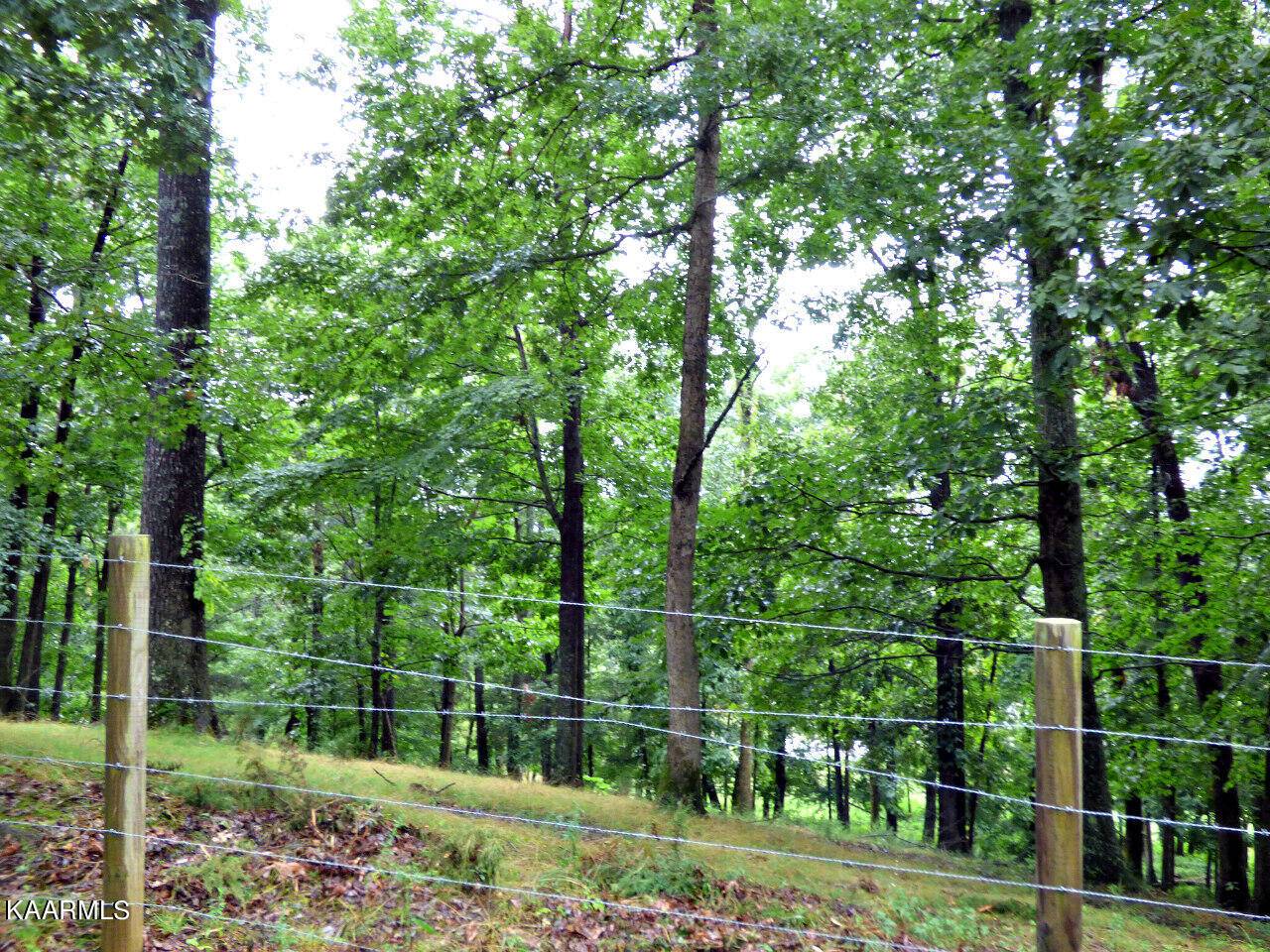 Dandridge, TN 37725,Lot 6 Stonehenge WAY