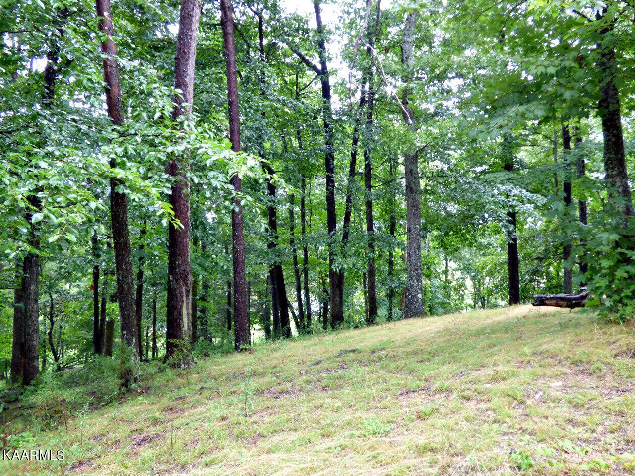 Dandridge, TN 37725,Lot 6 Stonehenge WAY