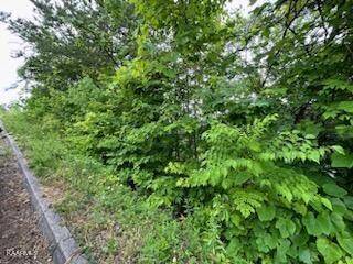 Sevierville, TN 37862,Lot 24 Grouse Ridge LN