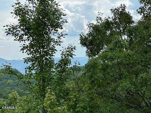 Sevierville, TN 37862,Lot 24 Grouse Ridge LN