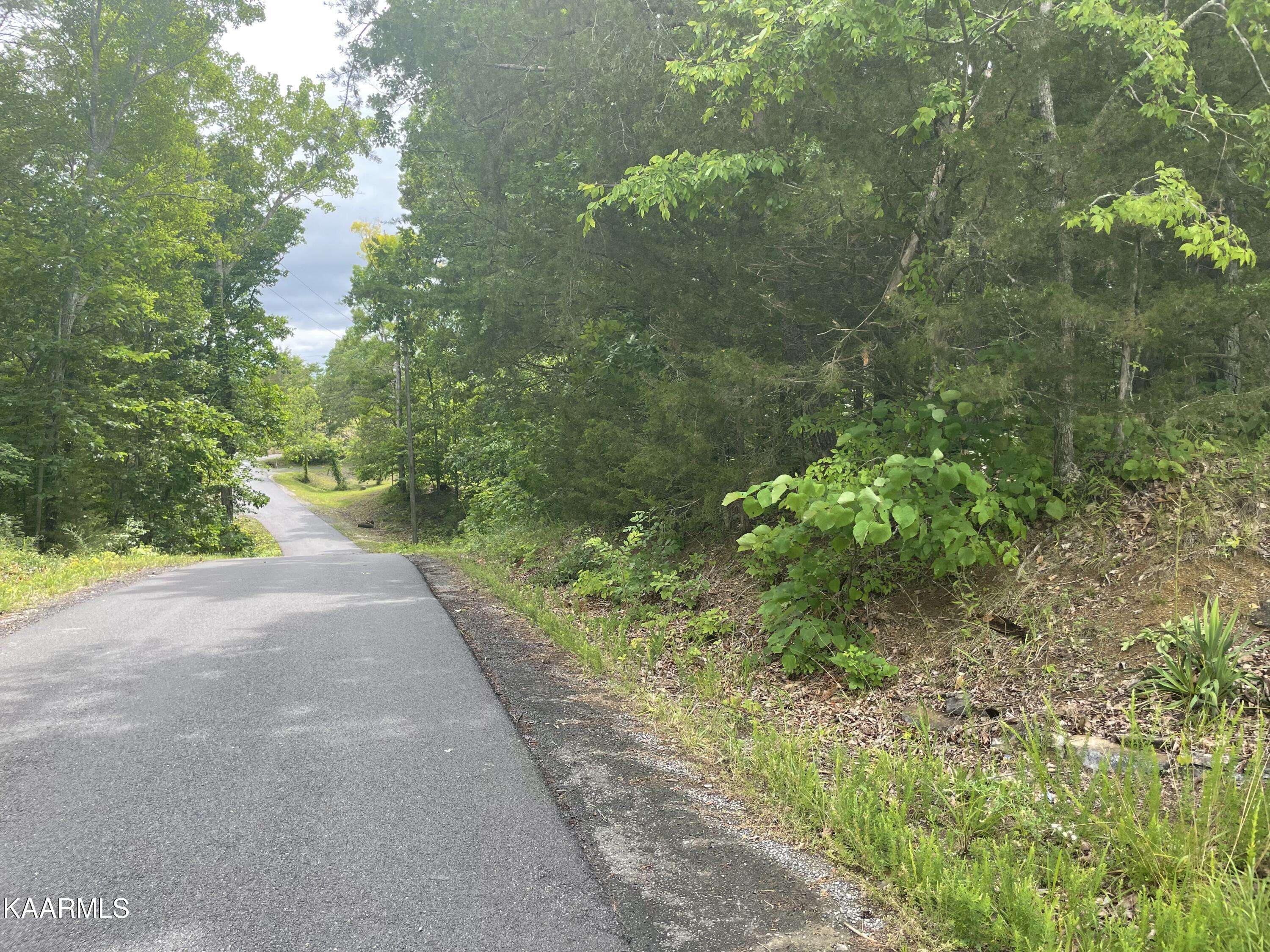 Sevierville, TN 37876,Lot 48 Driftwood CIR