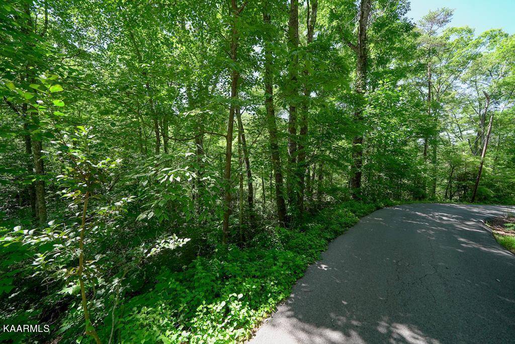 Gatlinburg, TN 37738,Lot 33 Ownby CIR