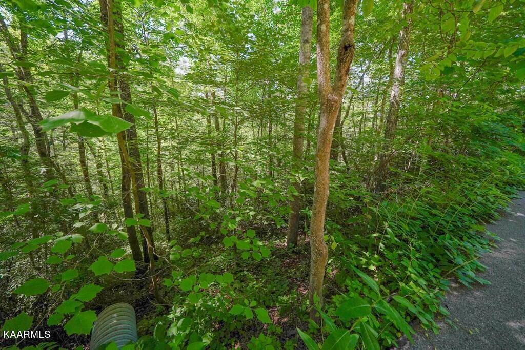 Gatlinburg, TN 37738,Lot 33 Ownby CIR