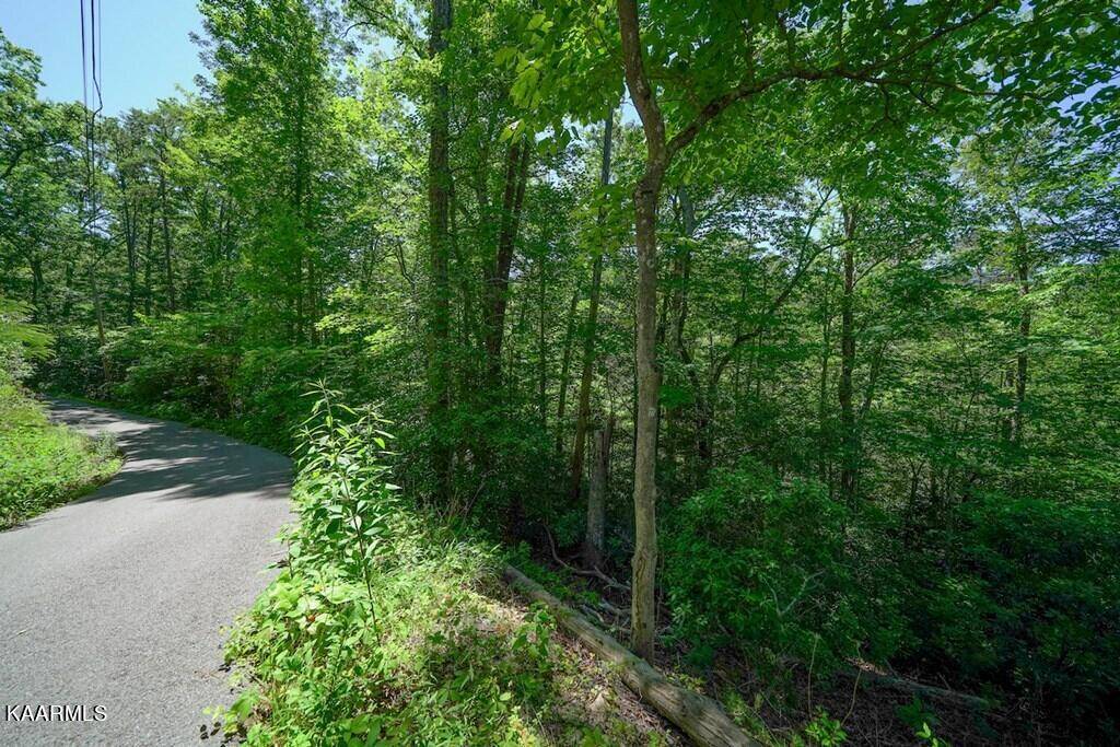 Gatlinburg, TN 37738,Lot 34 Ownby CIR