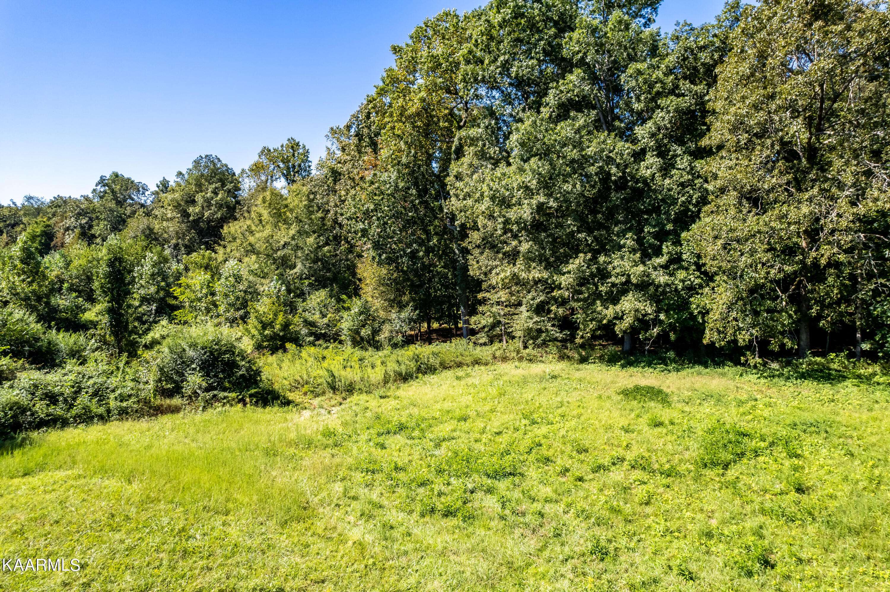 Walland, TN 37886,Jeffries Hollow Rd. Lot 8