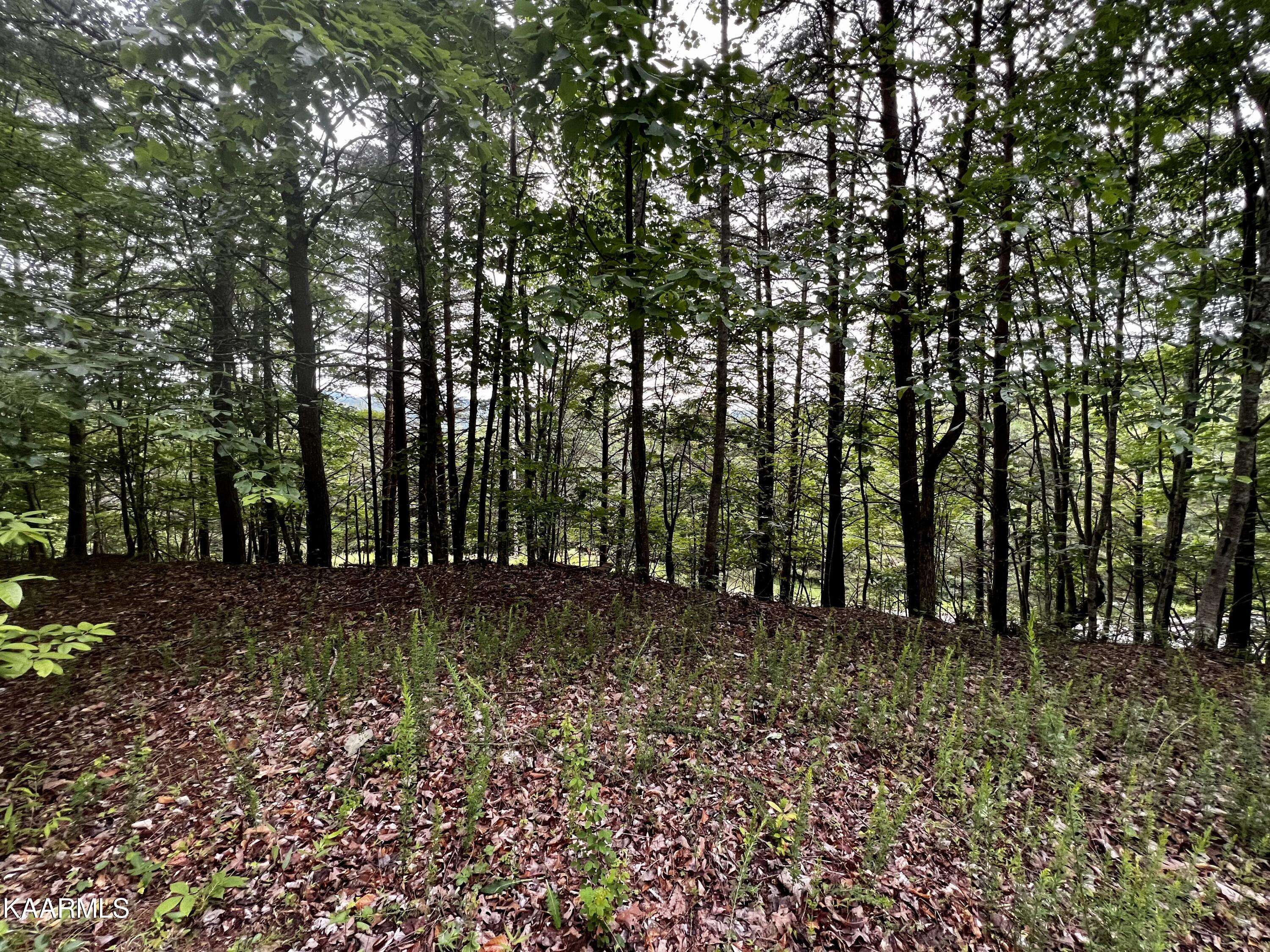 New Tazewell, TN 37825,964 Whistle Valley Road, Lot #233