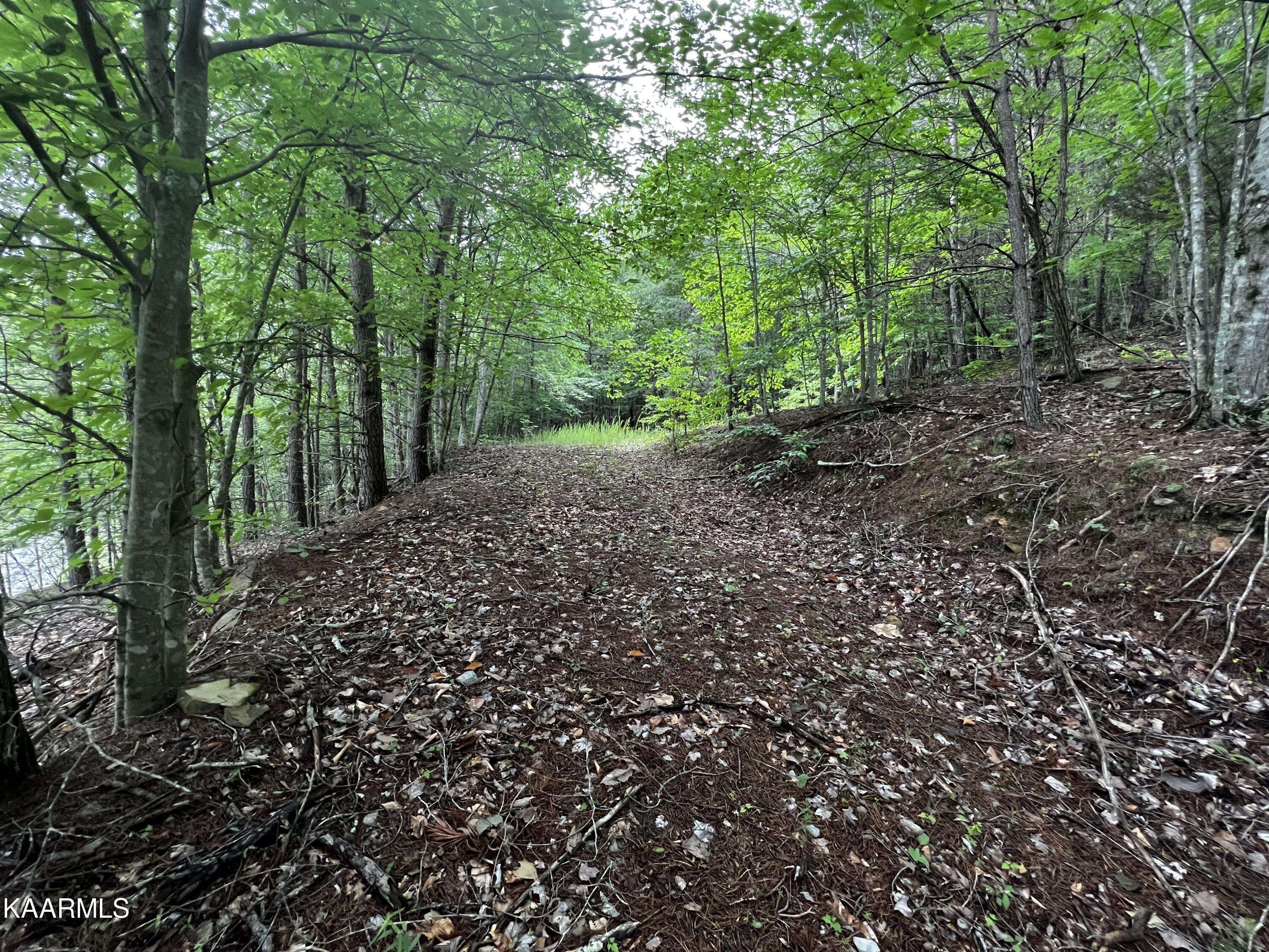 New Tazewell, TN 37825,964 Whistle Valley Road, Lot #233