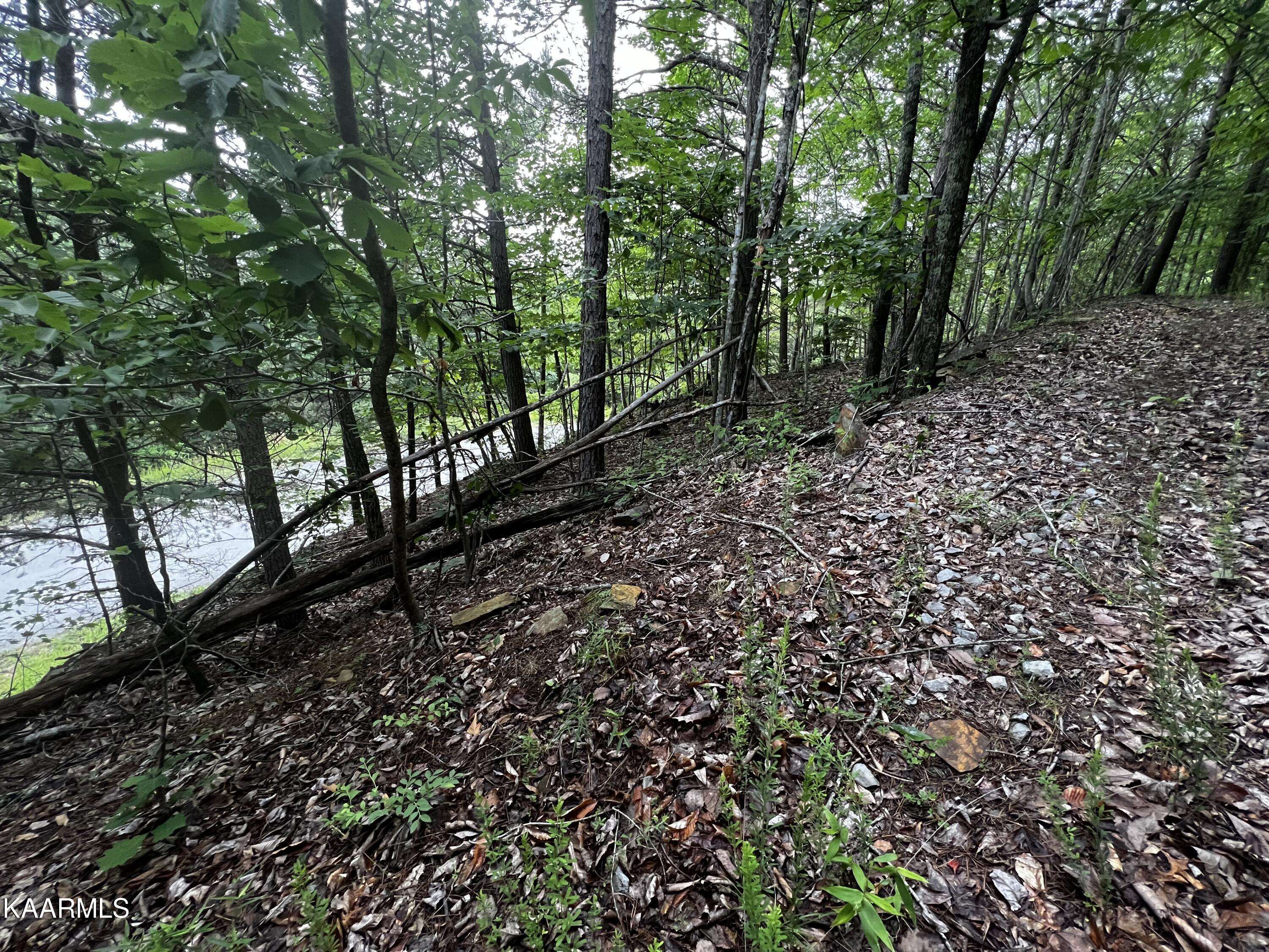 New Tazewell, TN 37825,964 Whistle Valley Road, Lot #233