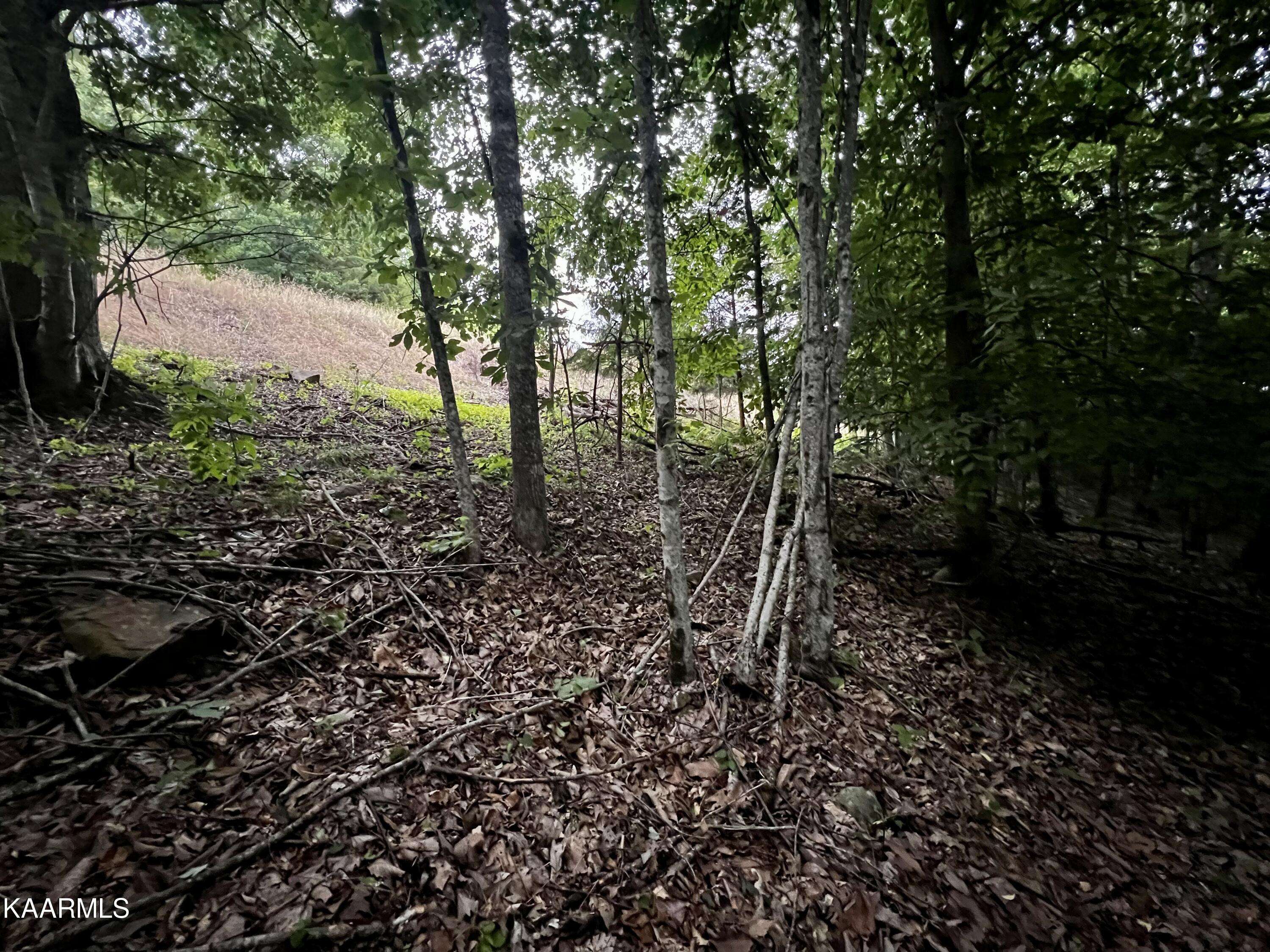 New Tazewell, TN 37825,Lot # 149 Whistle Valley Rd