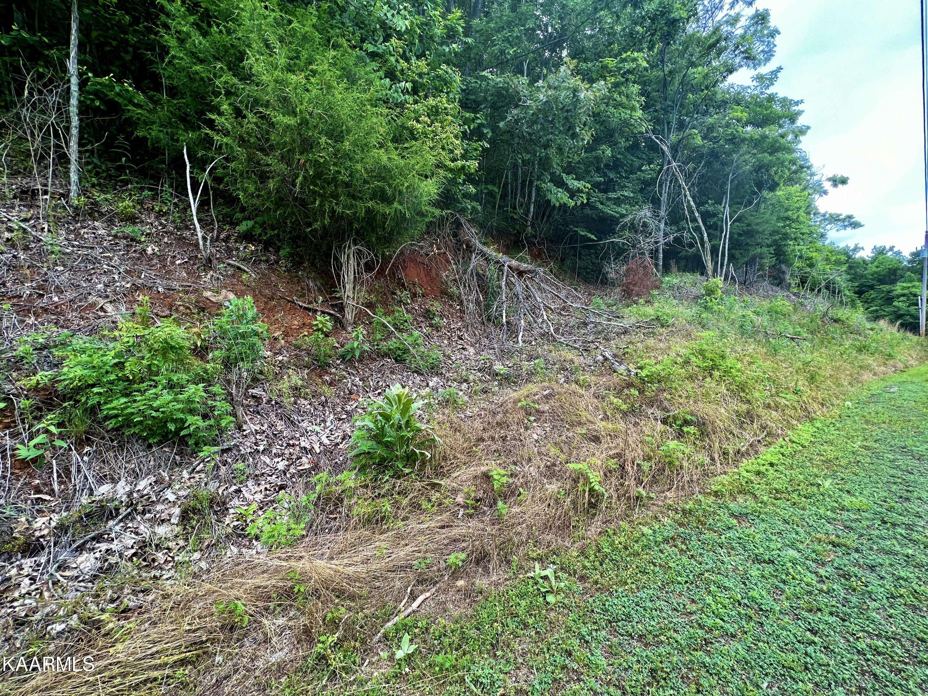 New Tazewell, TN 37825,Lot #212 Clinch View Rd