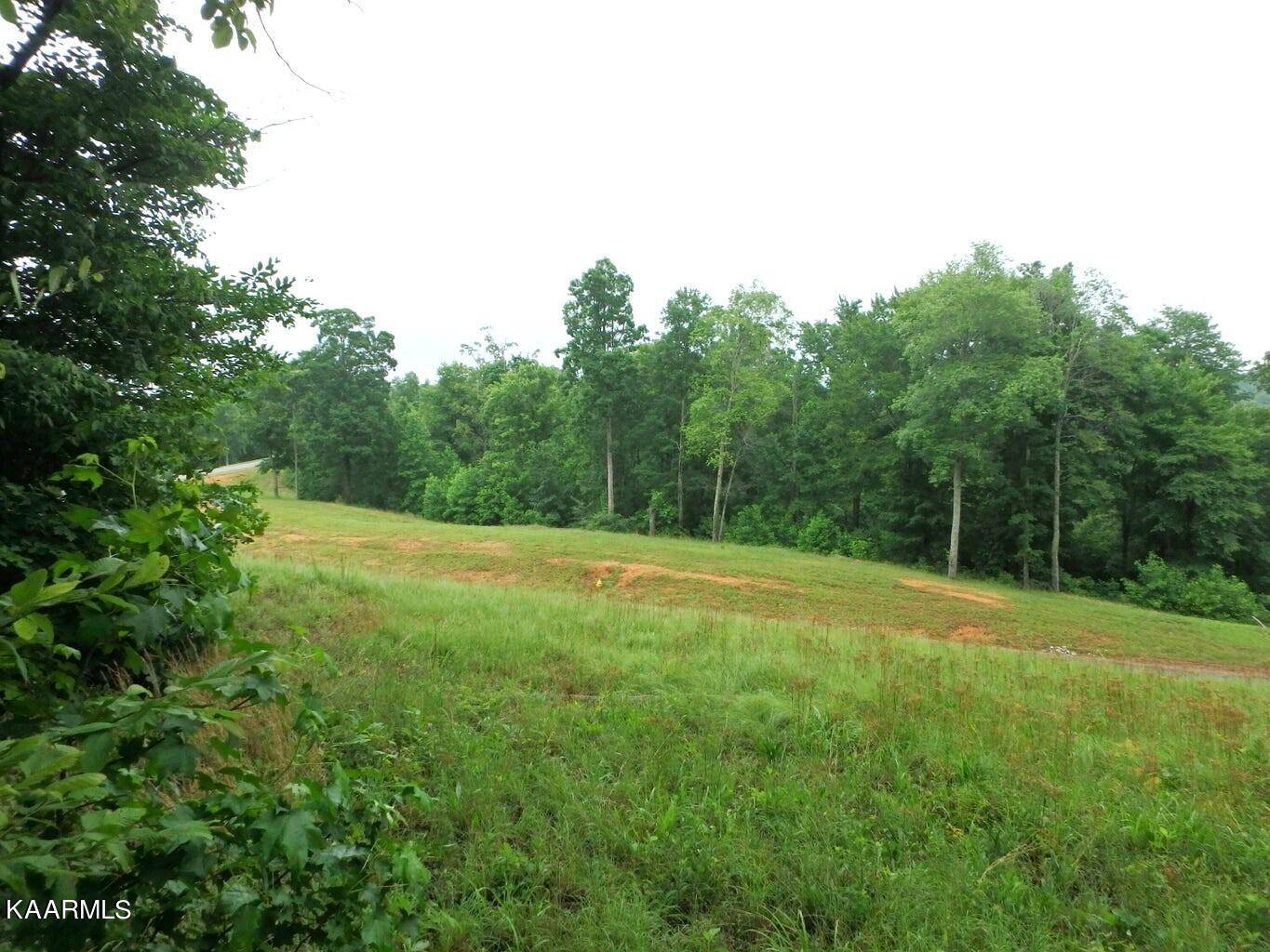 Lafollette, TN 37766,Lot 616 Prestige Ridge