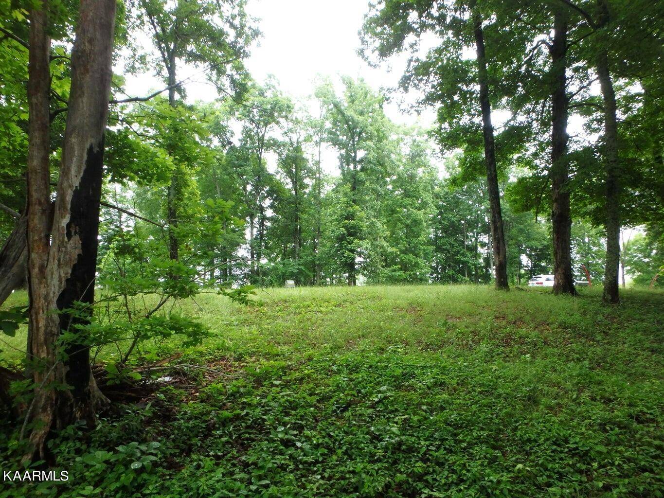 Lafollette, TN 37766,Lot 616 Prestige Ridge