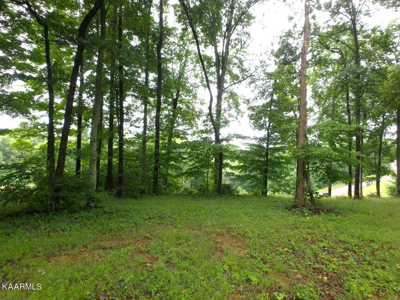 Lafollette, TN 37766,Lot 616 Prestige Ridge