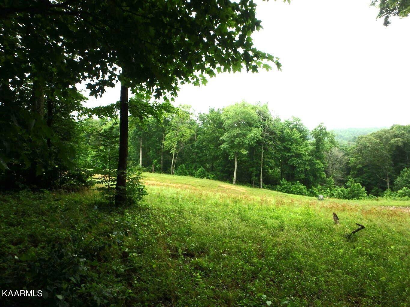 Lafollette, TN 37766,Lot 616 Prestige Ridge