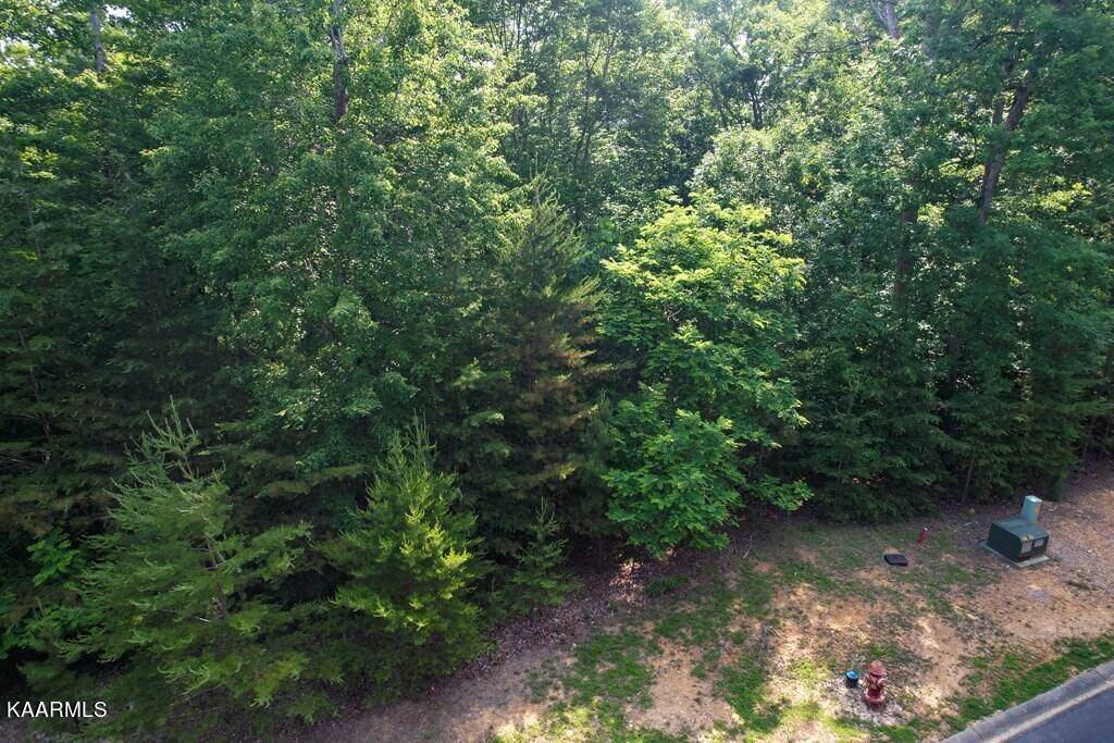 Dandridge, TN 37725,Lot 35 Deer Chase Tr