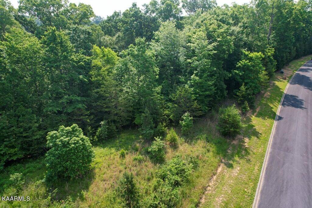 Dandridge, TN 37725,Lot 35 Deer Chase Tr