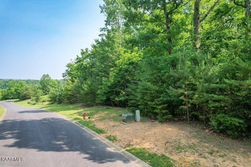 Dandridge, TN 37725,Lot 35 Deer Chase Tr