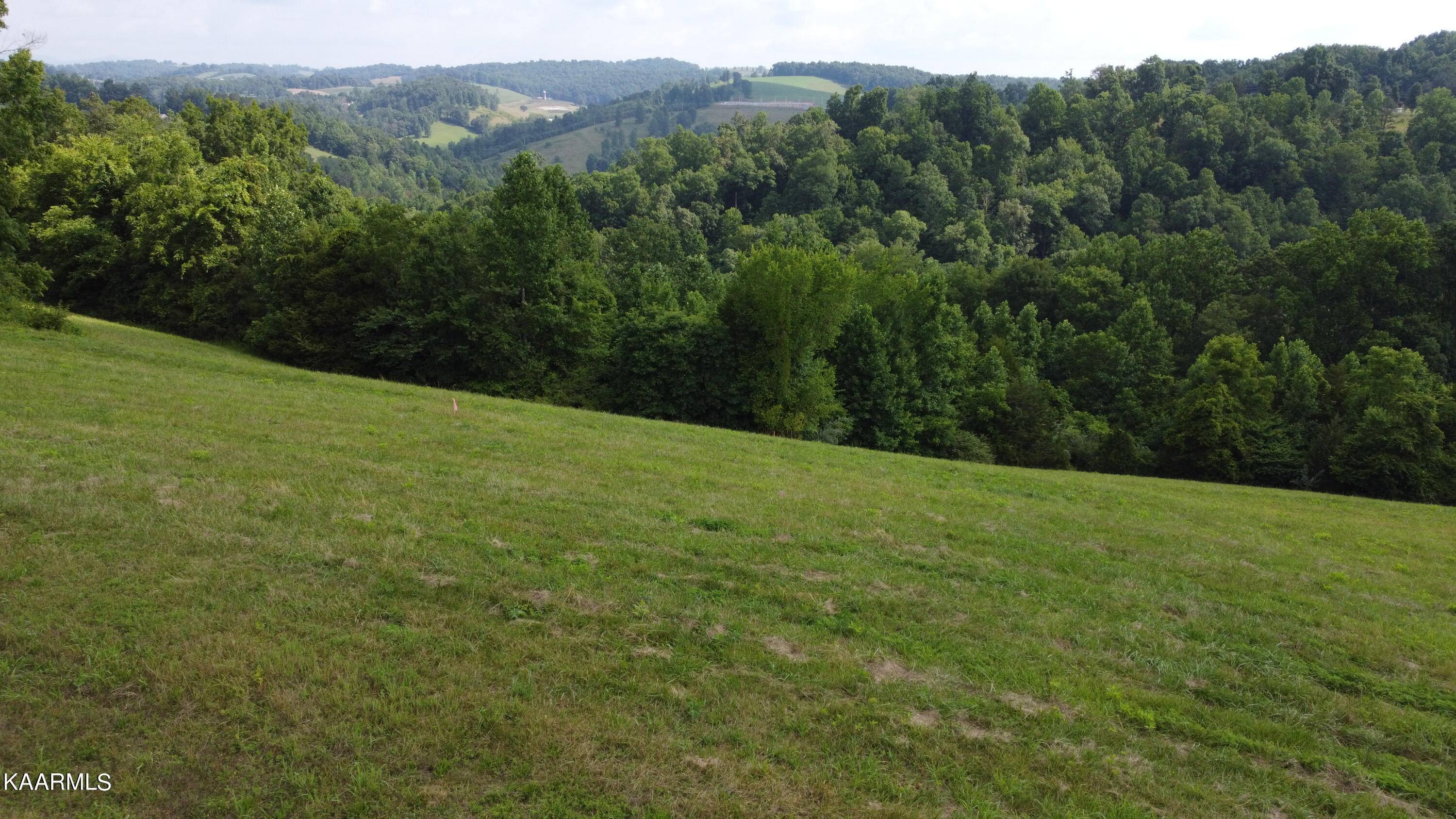 New Tazewell, TN 37825,Lot 19 Smokey Quartz Blvd