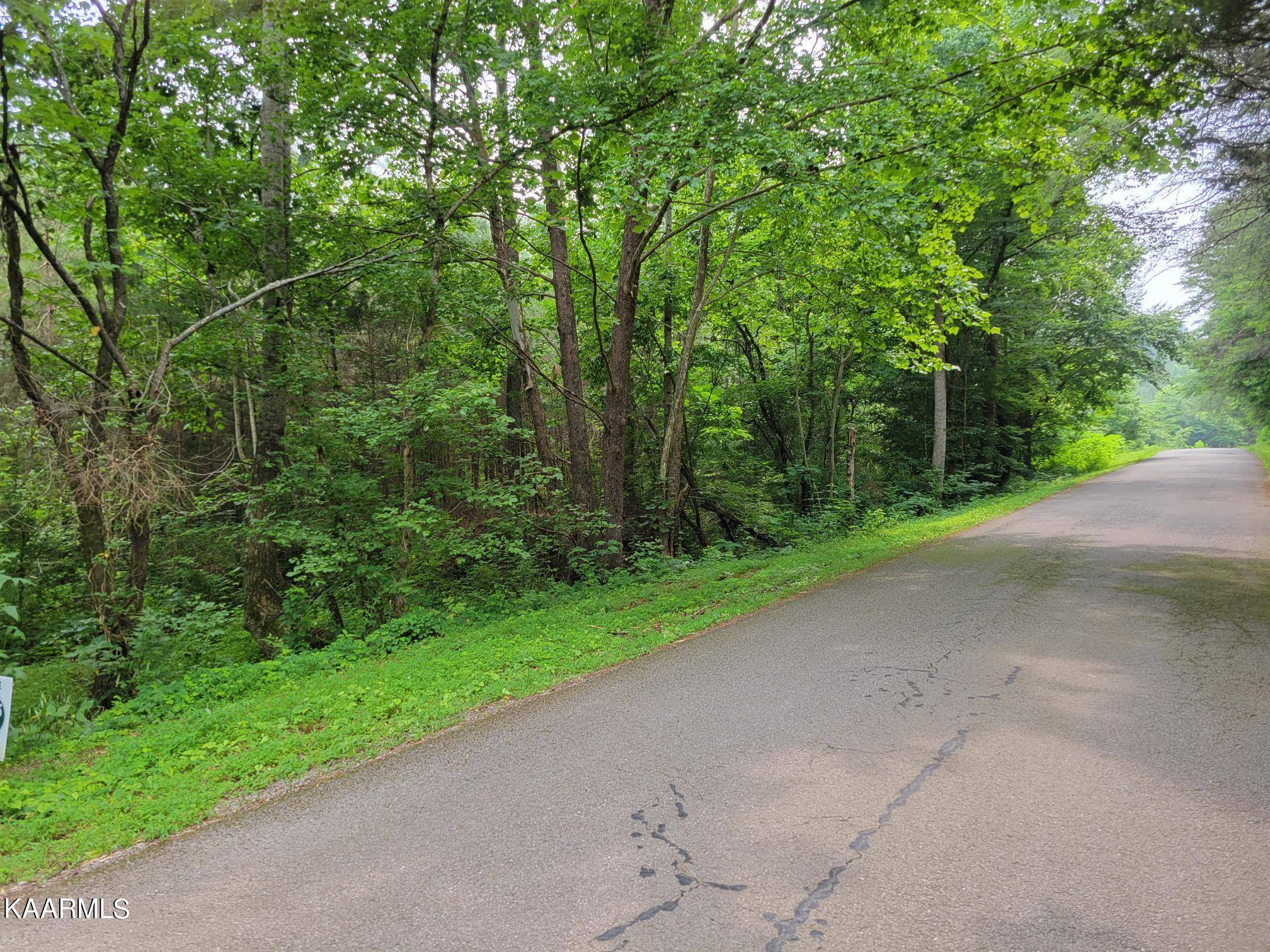 Tellico Plains, TN 37385,587 Ballplay School Road Rd