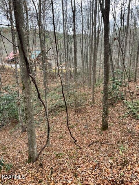 Sevierville, TN 37862,Lot 5 Hickory Hollow WAY