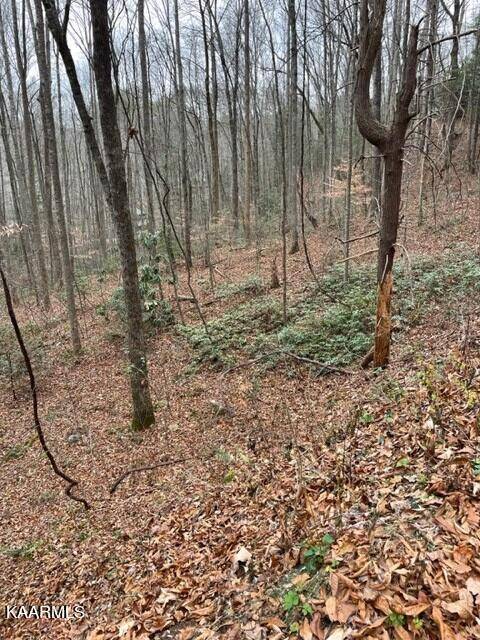 Sevierville, TN 37862,Lot 5 Hickory Hollow WAY