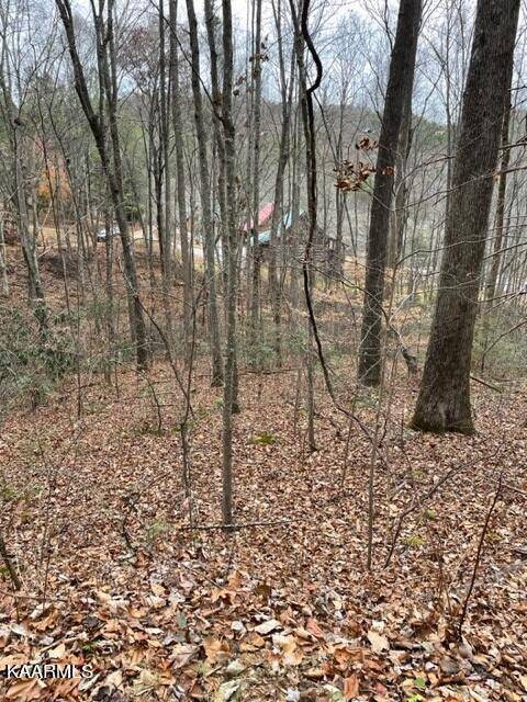 Sevierville, TN 37862,Lot 5 Hickory Hollow WAY