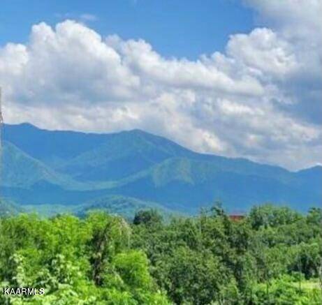 Gatlinburg, TN 37738,1112 Longview CT