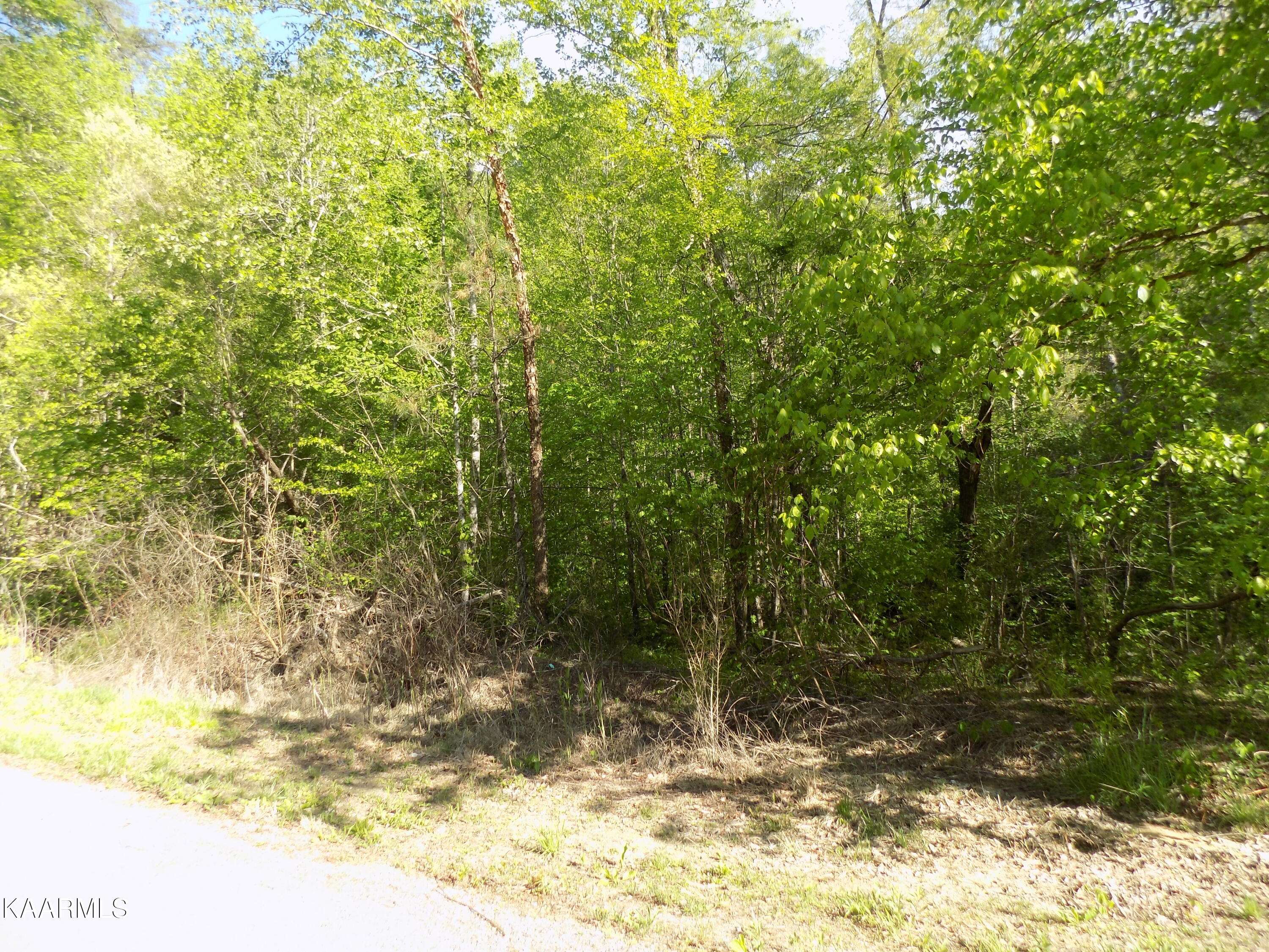 Cosby, TN 37722,Lot 10 Cove Hollow Rd