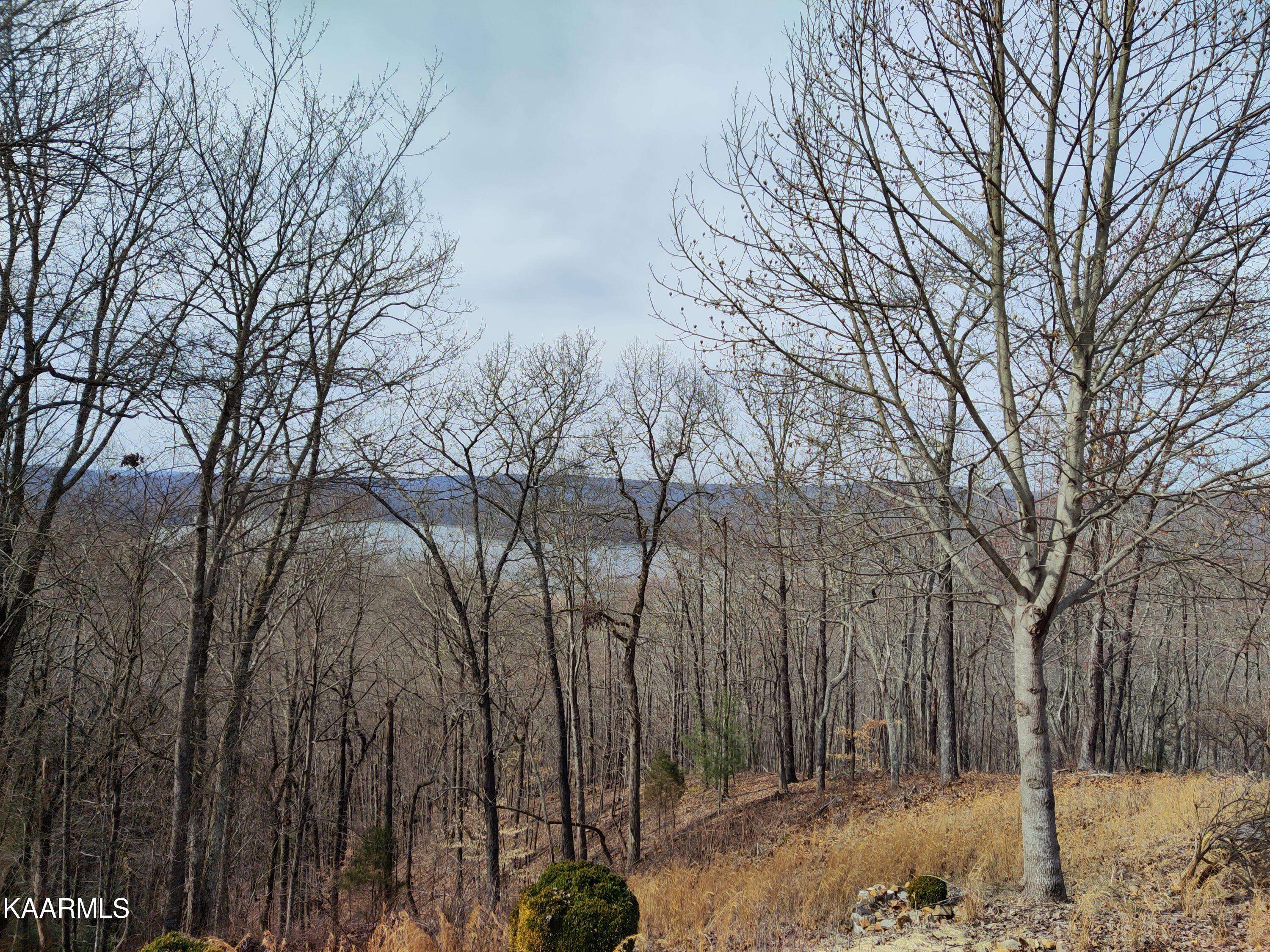 Rockwood, TN 37854,228 Lake Overlook DR