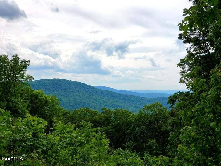 Crab Orchard, TN 37723,Lot 234 Renegade Mountain Pkwy