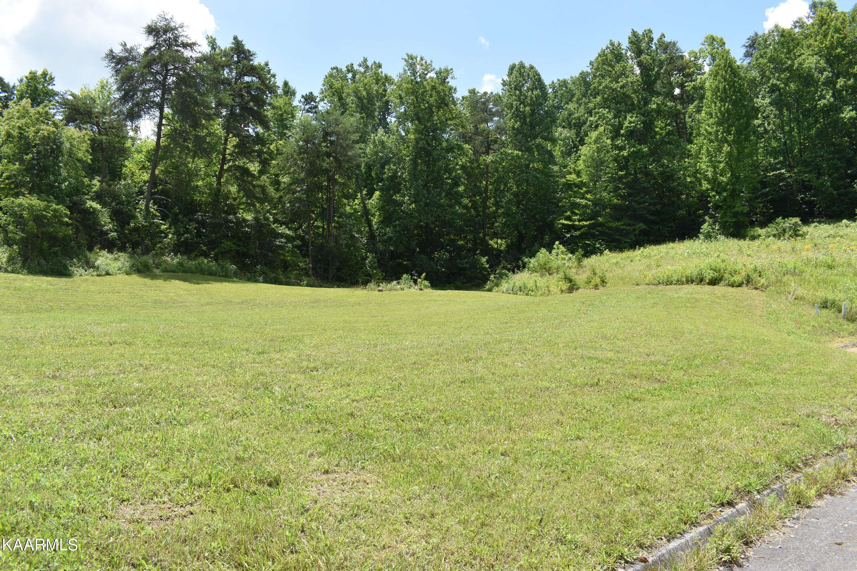 Strawberry Plains, TN 37871,Lot 8 Briar Ridge LN