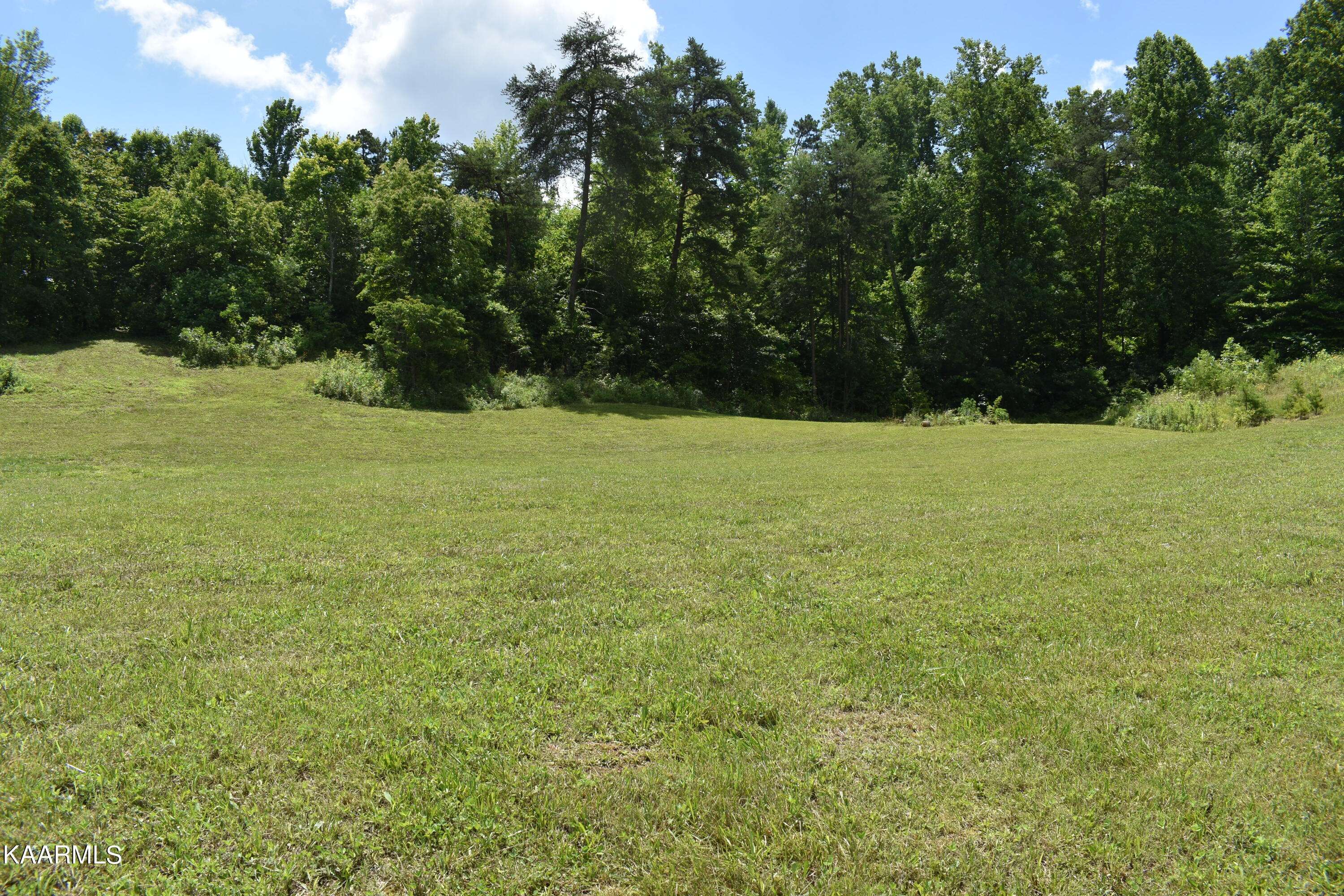 Strawberry Plains, TN 37871,Lot 8 Briar Ridge LN