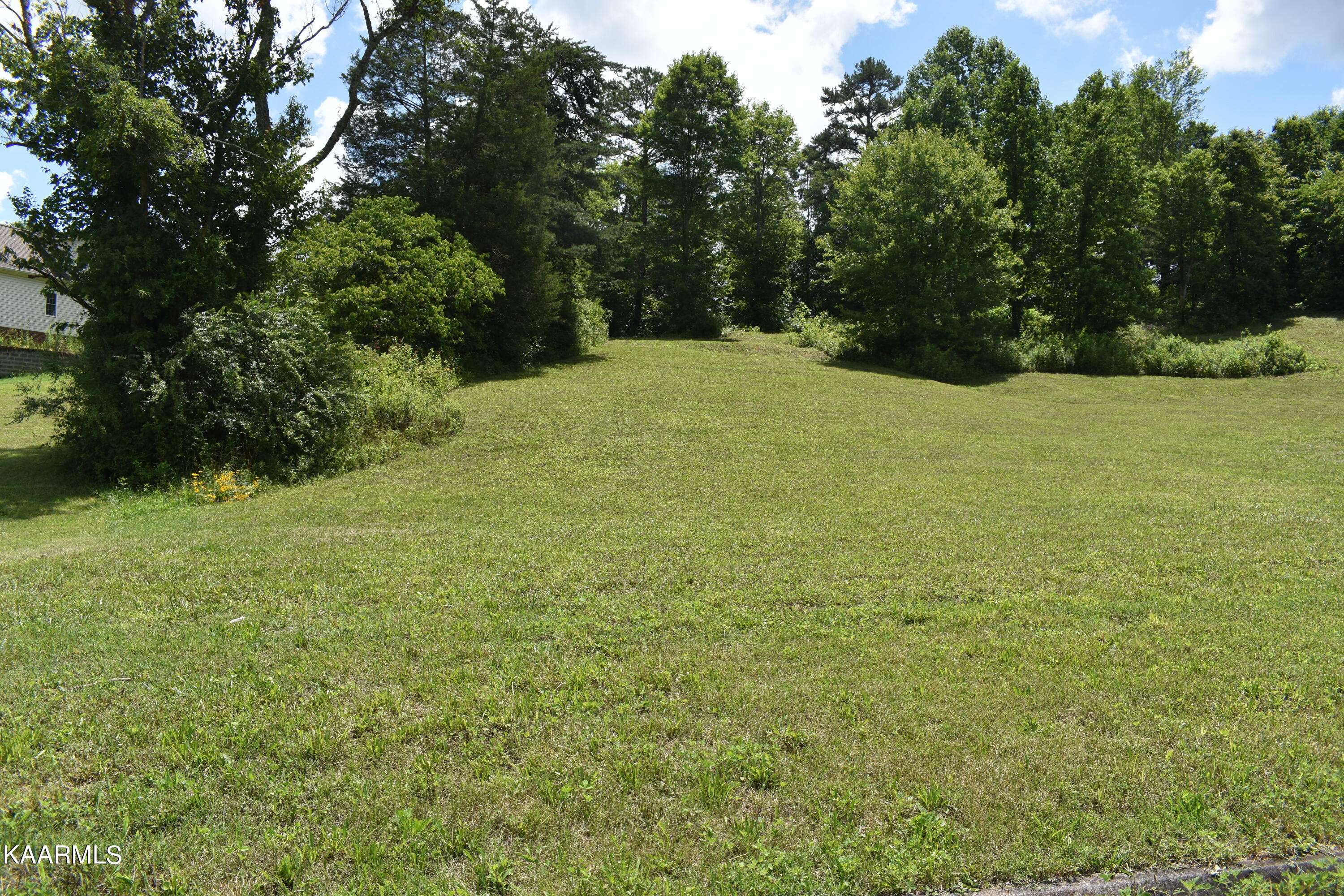 Strawberry Plains, TN 37871,Lot 9 Briar Ridge LN