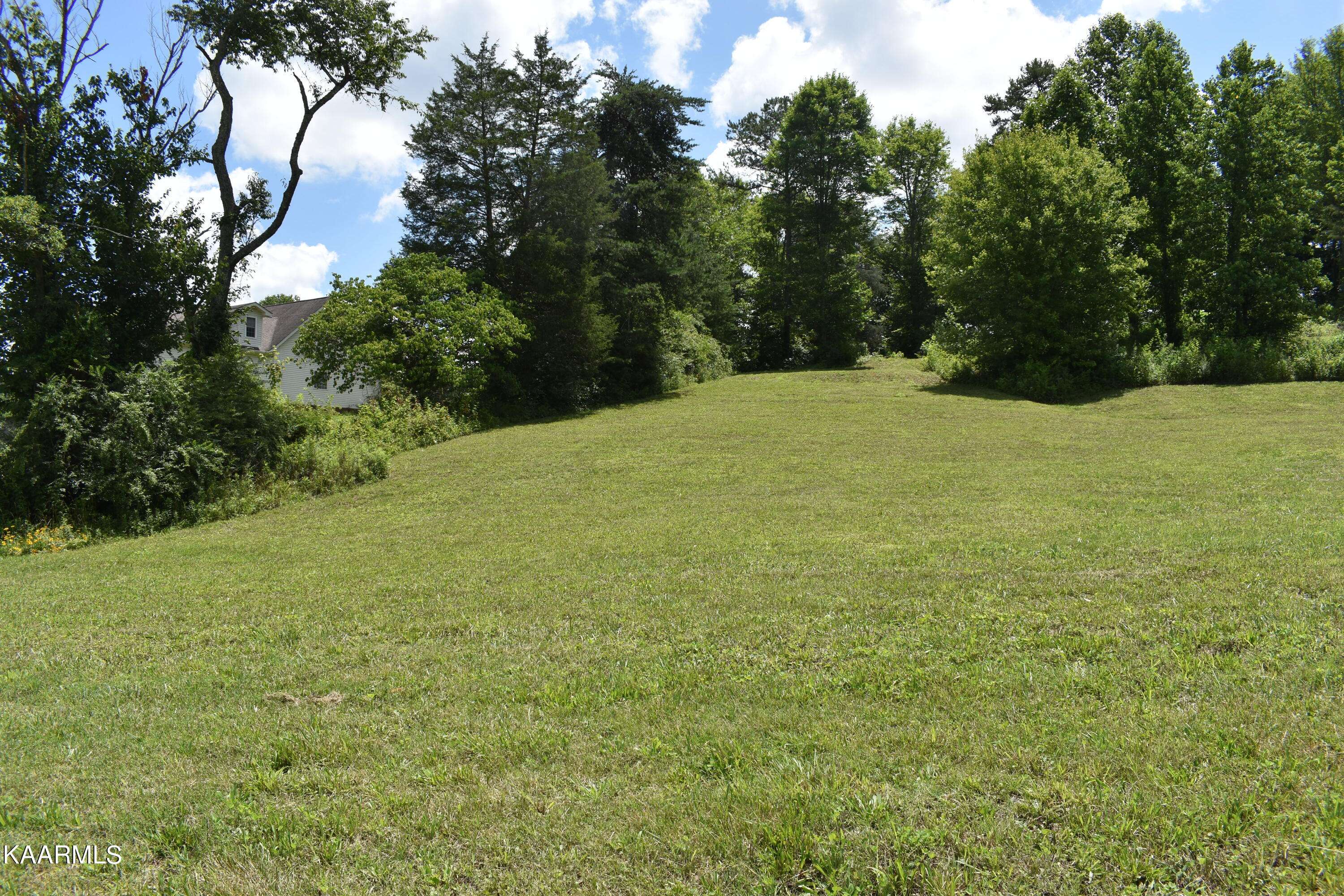 Strawberry Plains, TN 37871,Lot 9 Briar Ridge LN