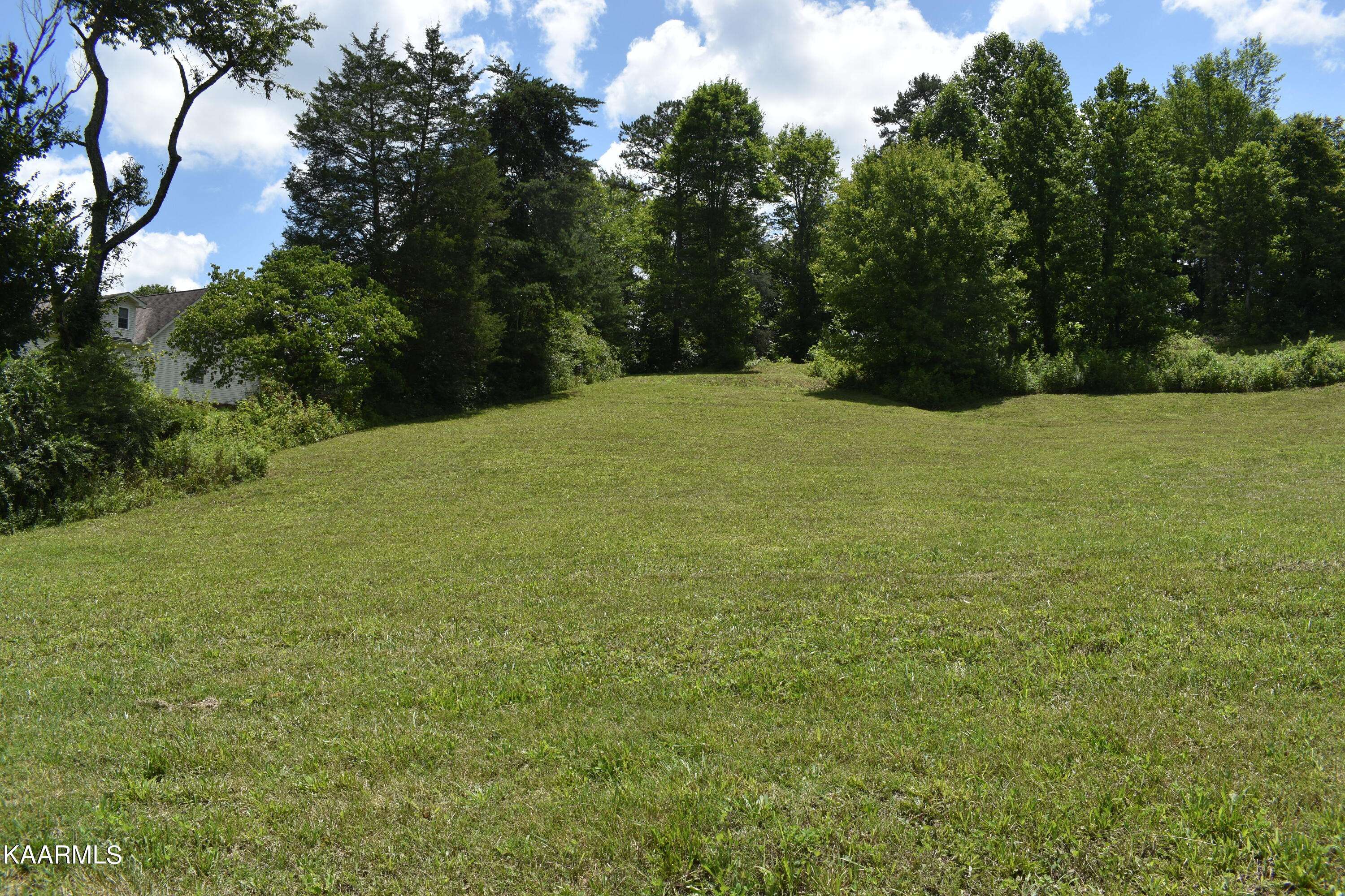 Strawberry Plains, TN 37871,Lot 9 Briar Ridge LN