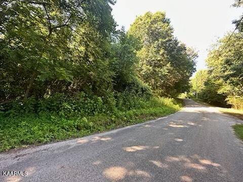 Kingston, TN 37763,Lot 30 Willow DR