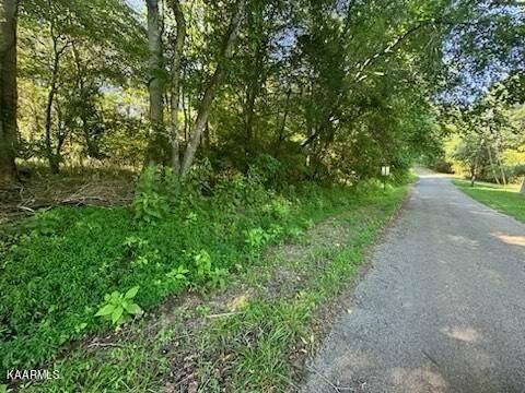 Kingston, TN 37763,Lot 30 Willow DR