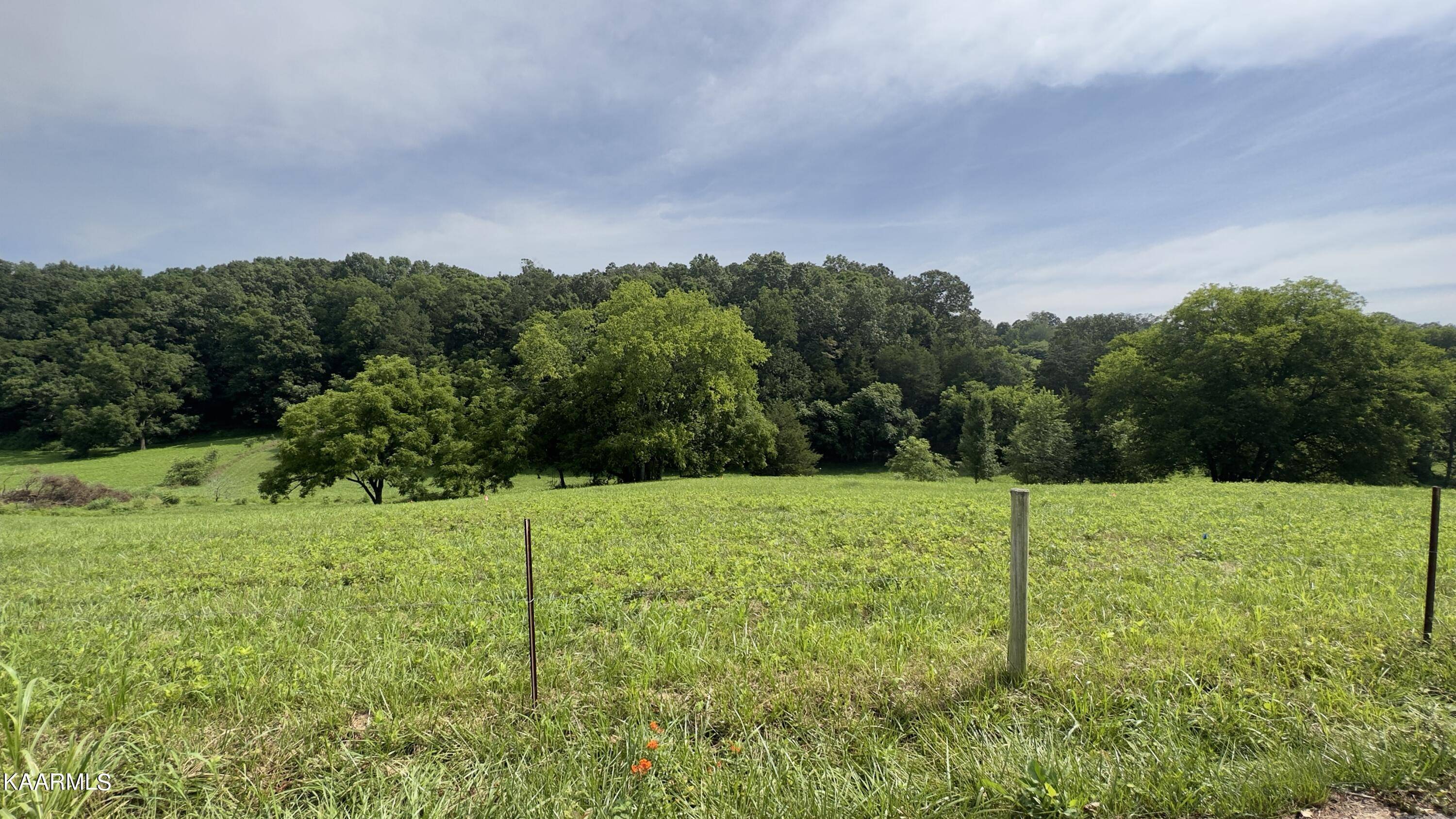 Strawberry Plains, TN 37871,LOT 4 Shady Rd