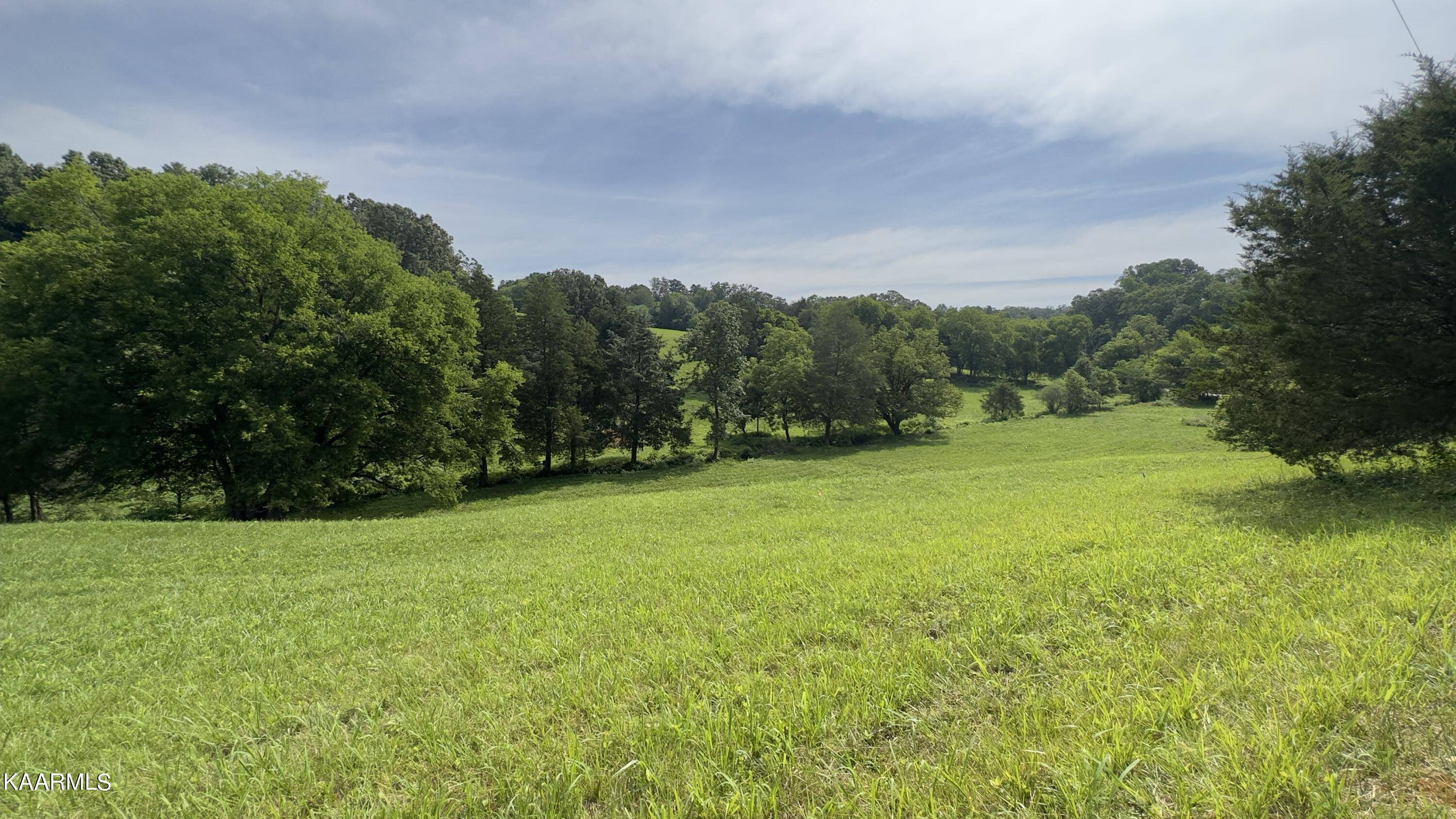 Strawberry Plains, TN 37871,LOT 5 Shady Rd