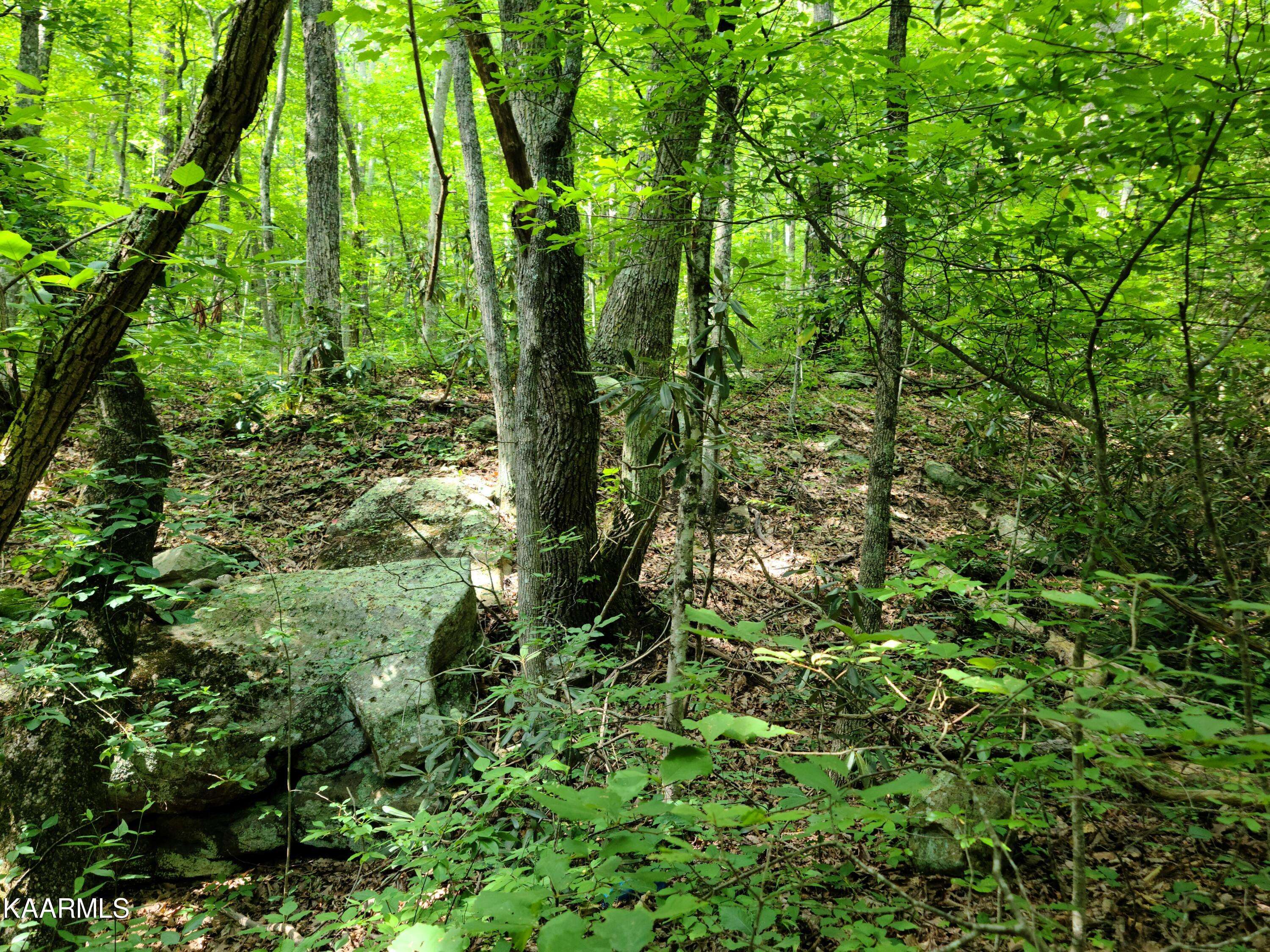 Sevierville, TN 37876,Lot 67 John Sevier DR