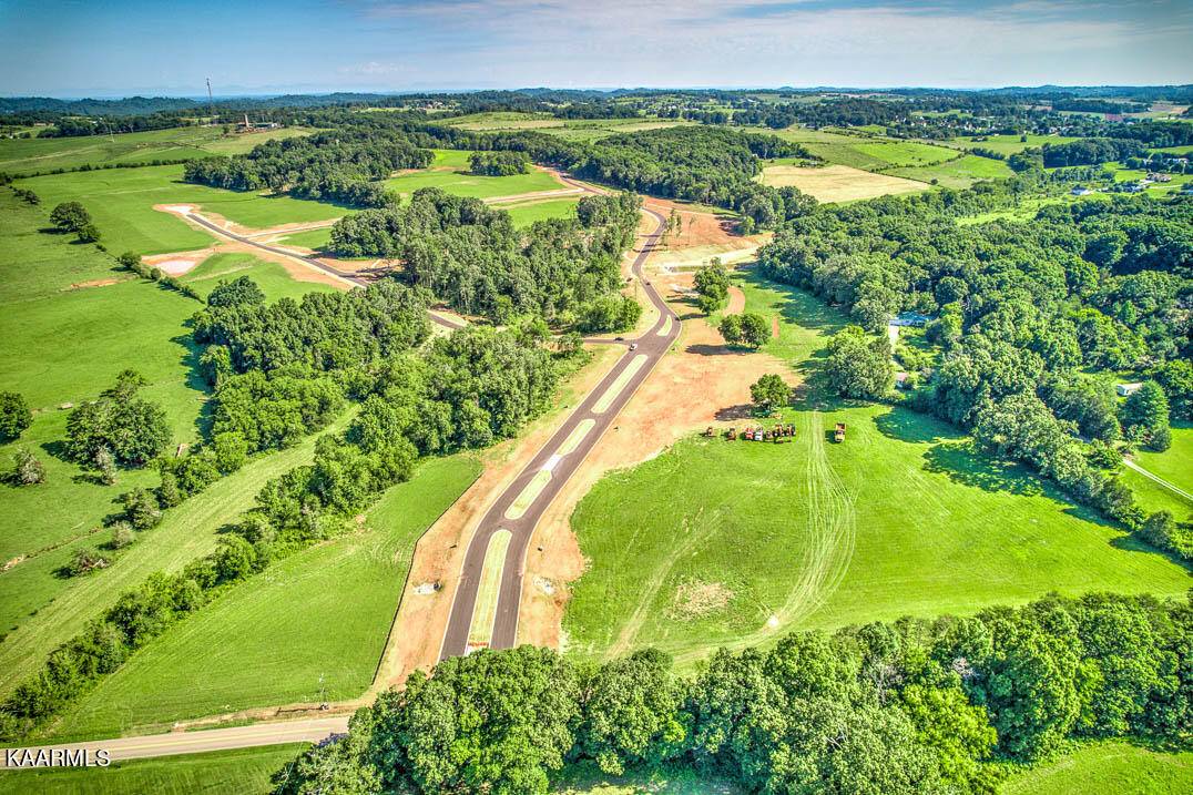 Greenback, TN 37742,LOT1 802 Sophie DR