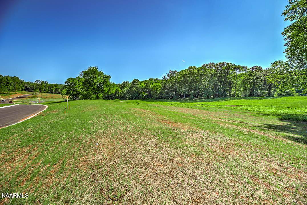 Greenback, TN 37742,LOT 2 Morganton Rd