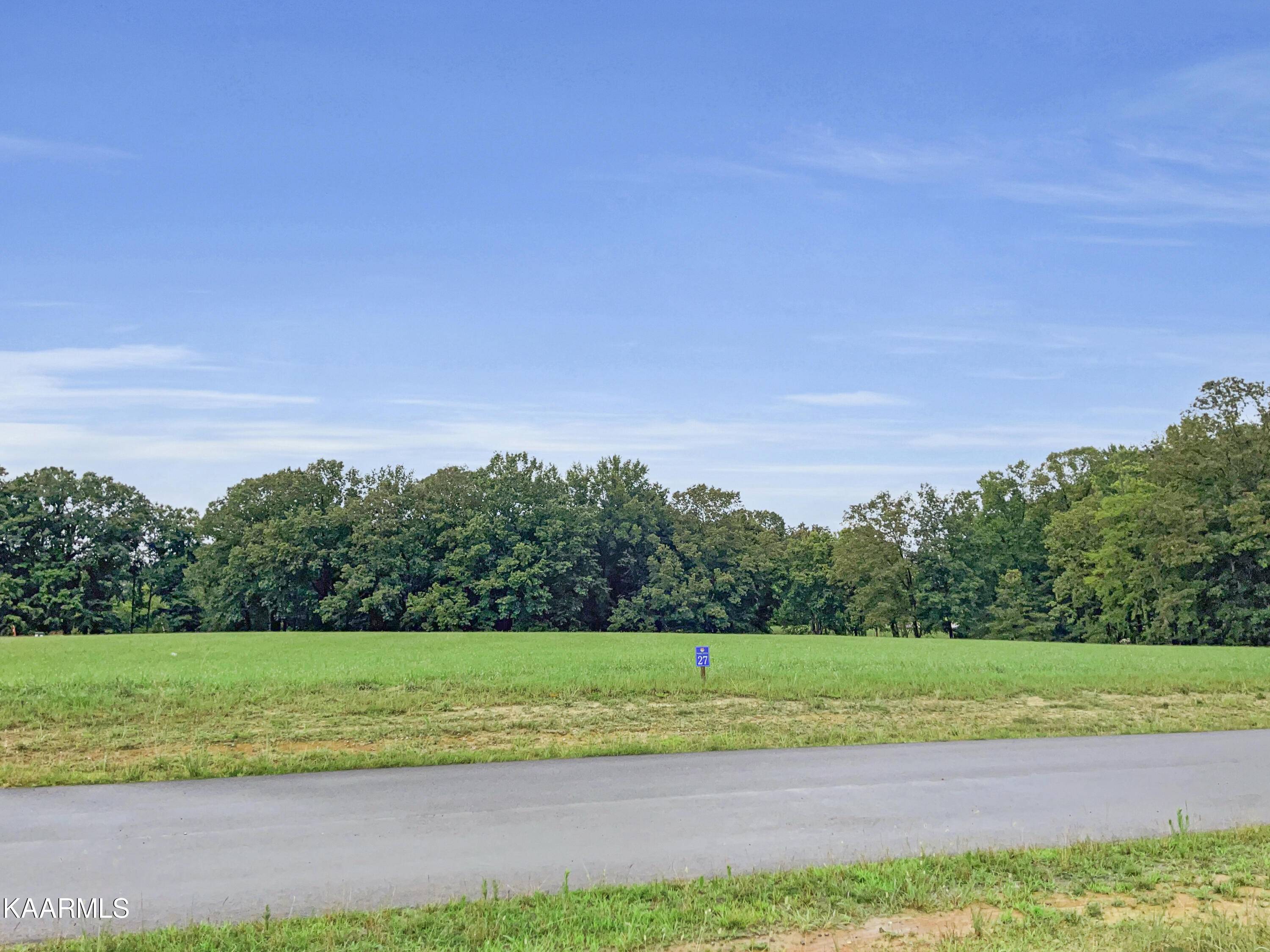 White Pine, TN 37890,Lot 27 Sunset Blvd