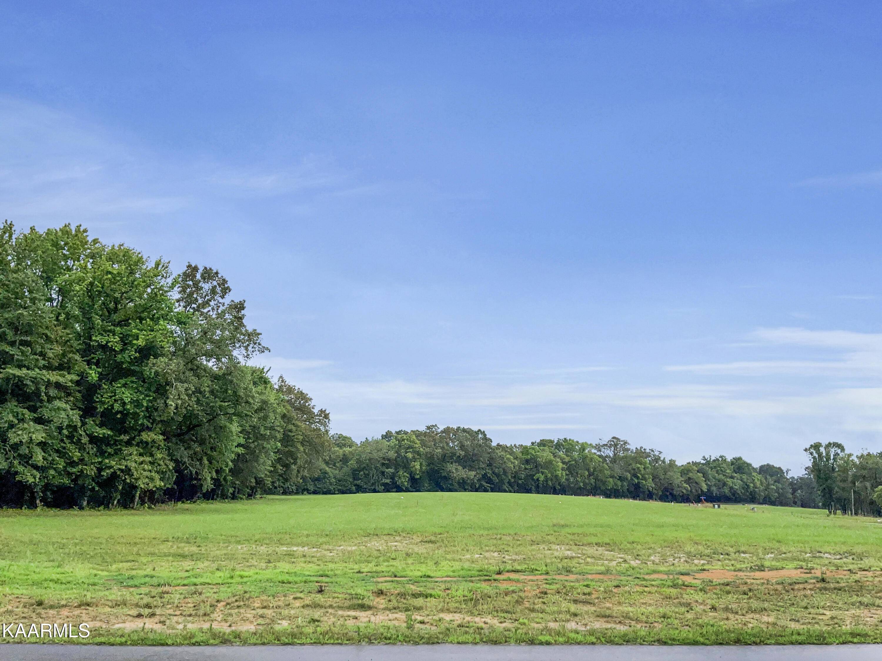 White Pine, TN 37890,Lot 27 Sunset Blvd