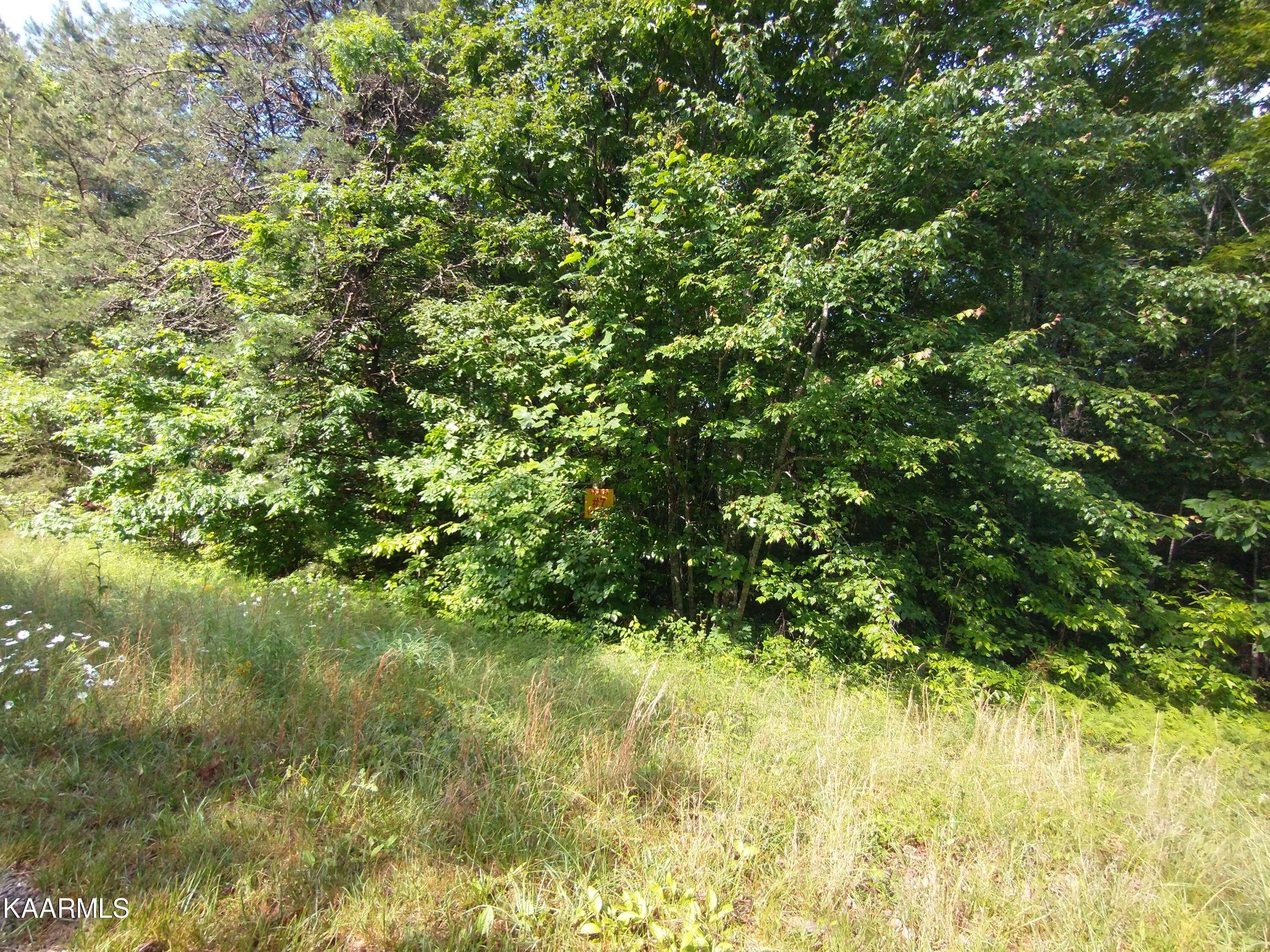 Sunbright, TN 37872,Crest View Drive (Lot #7)