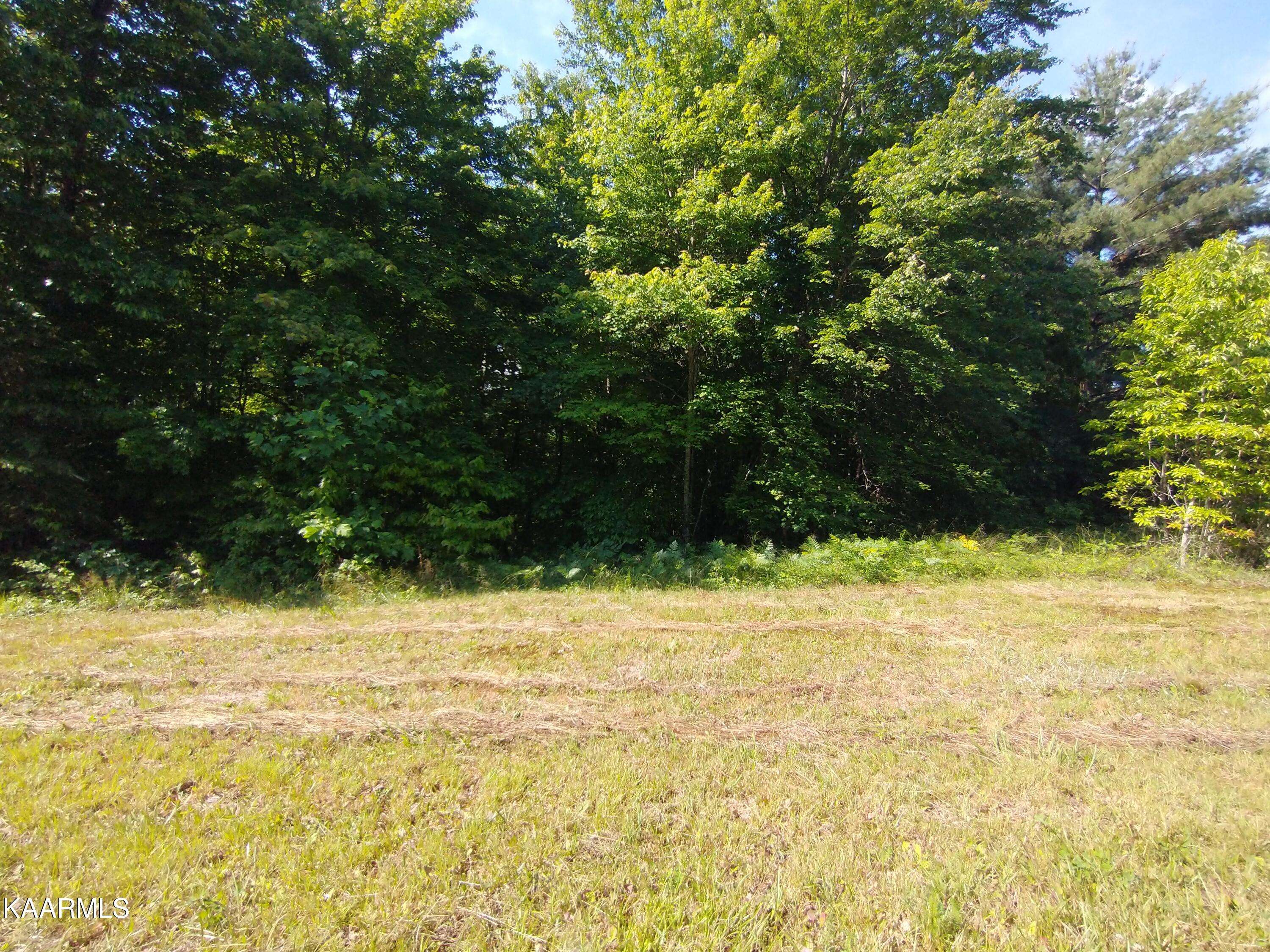 Sunbright, TN 37872,Crest View Drive (Lot #7)