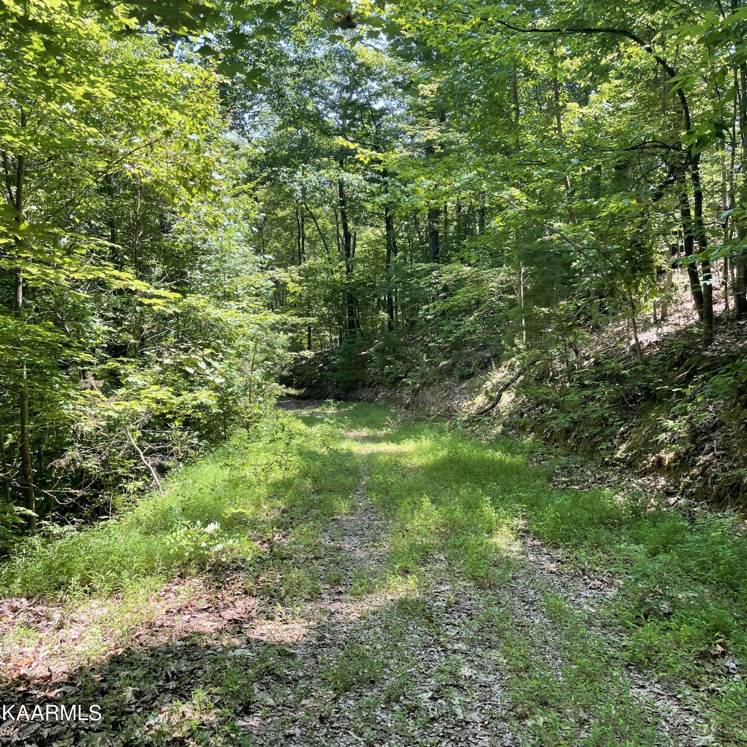 Tellico Plains, TN 37385,Lot 9 Indian Ridge DR