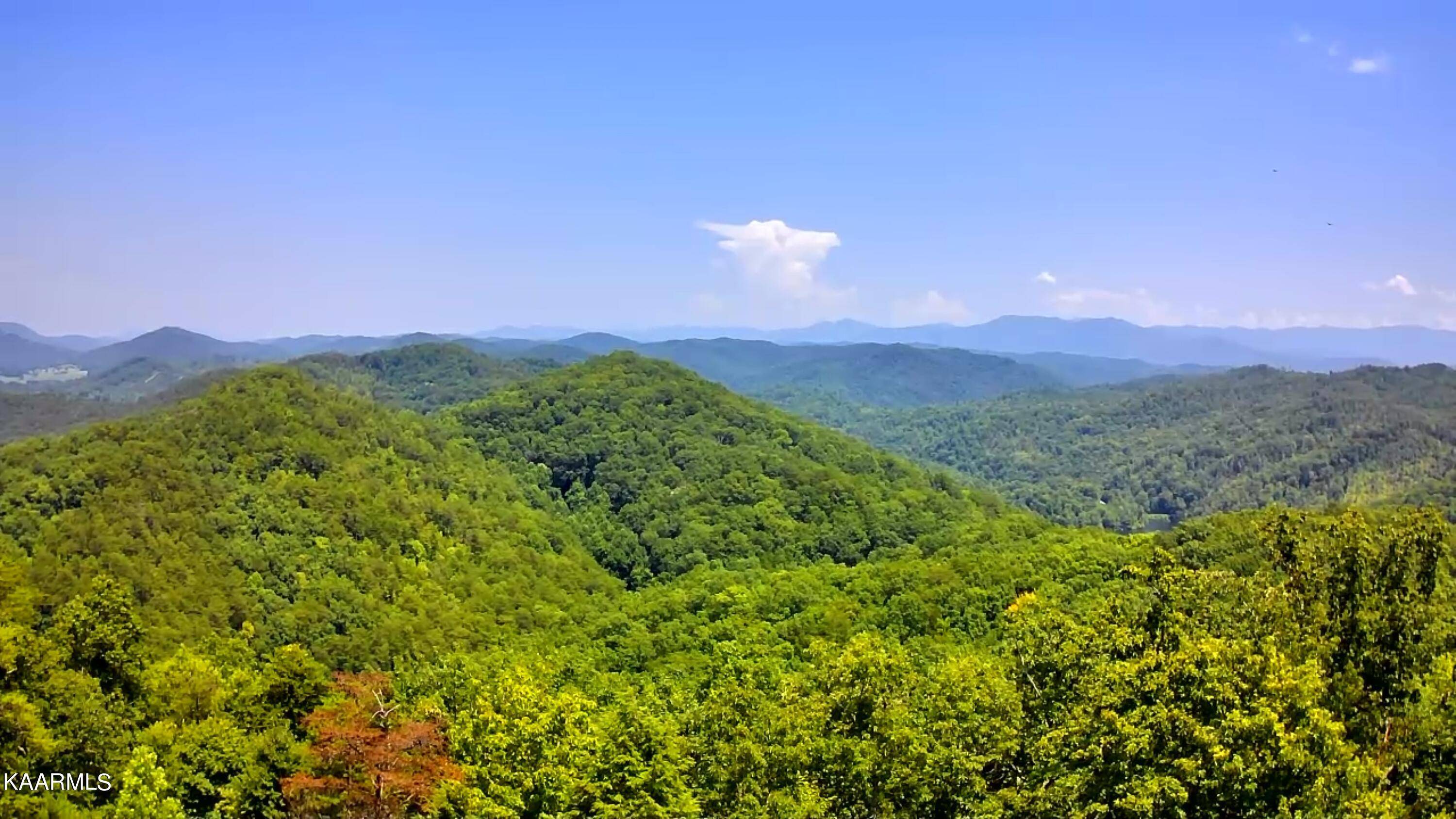 Tellico Plains, TN 37385,Lot 9 Indian Ridge DR