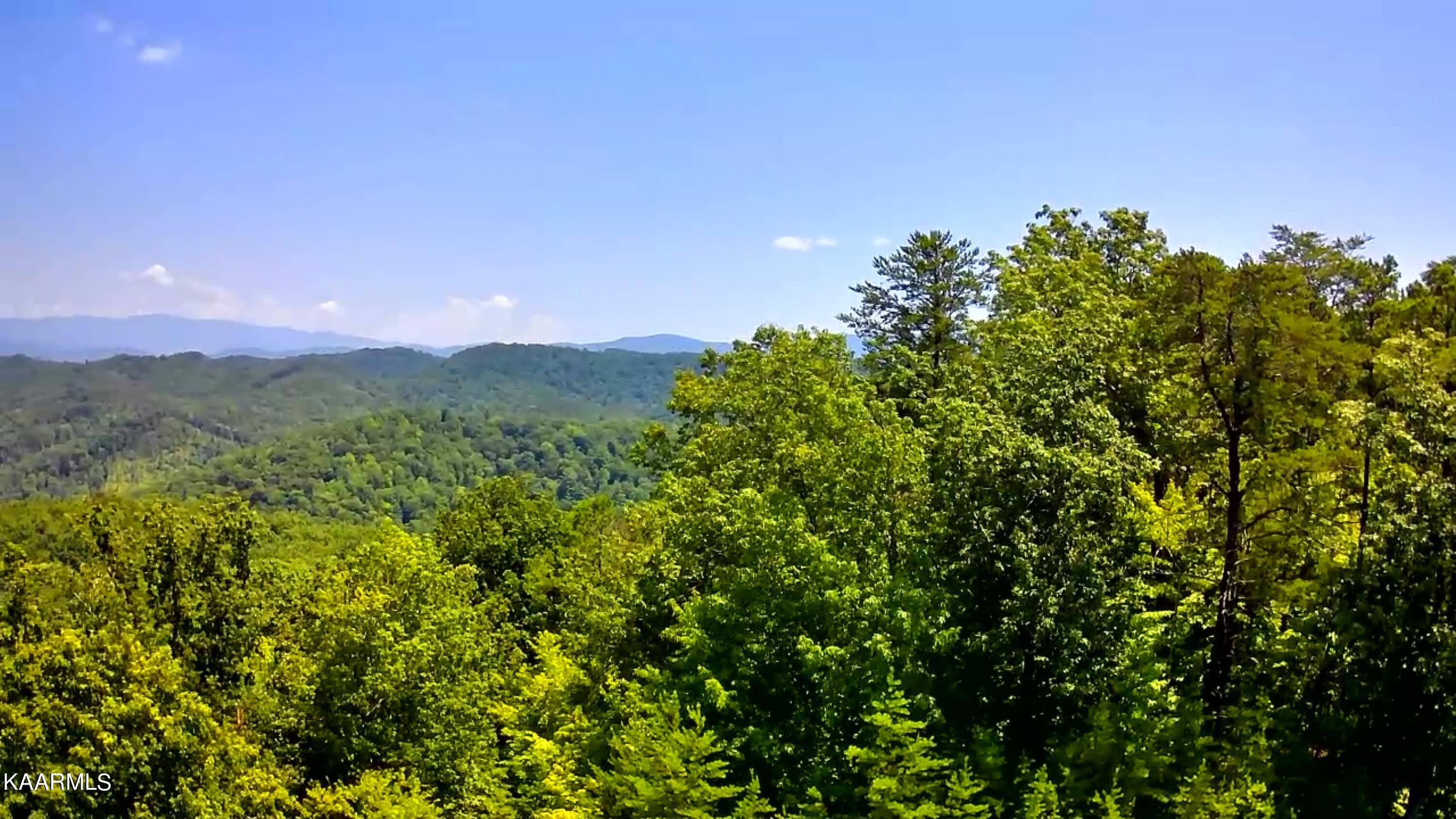 Tellico Plains, TN 37385,Lot 9 Indian Ridge DR